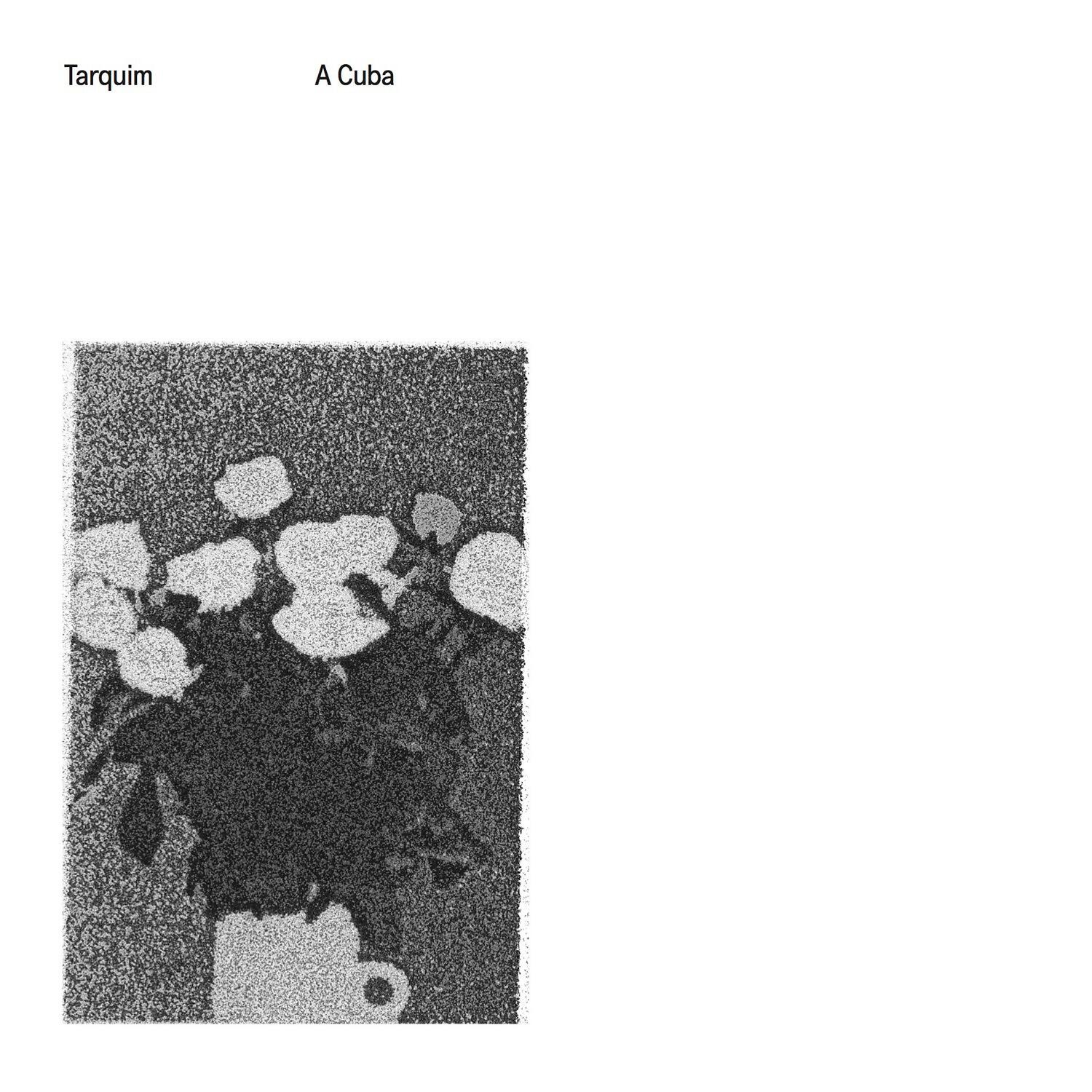Tarquim - Descarga Tarquim