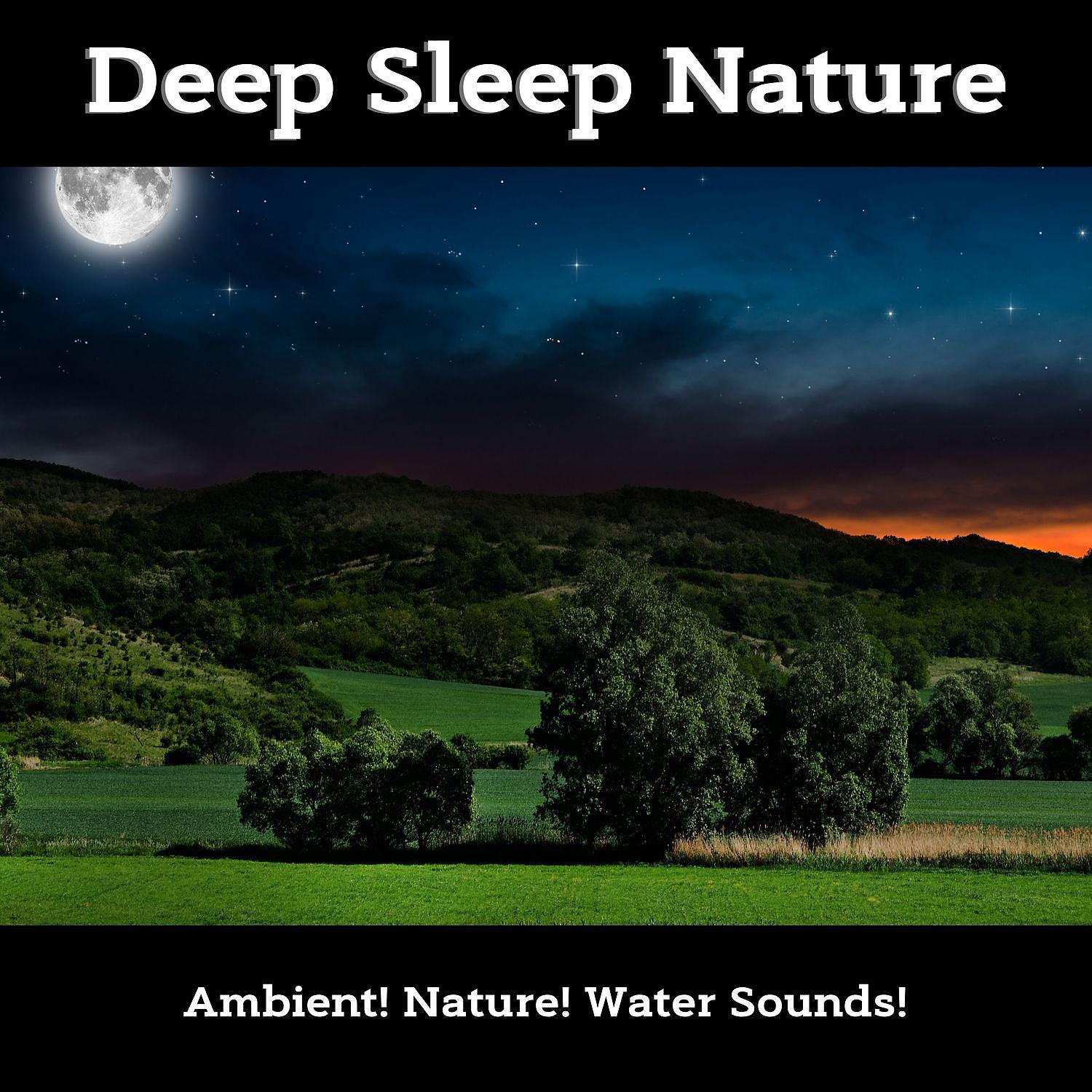 Постер альбома Deep Sleep Nature
