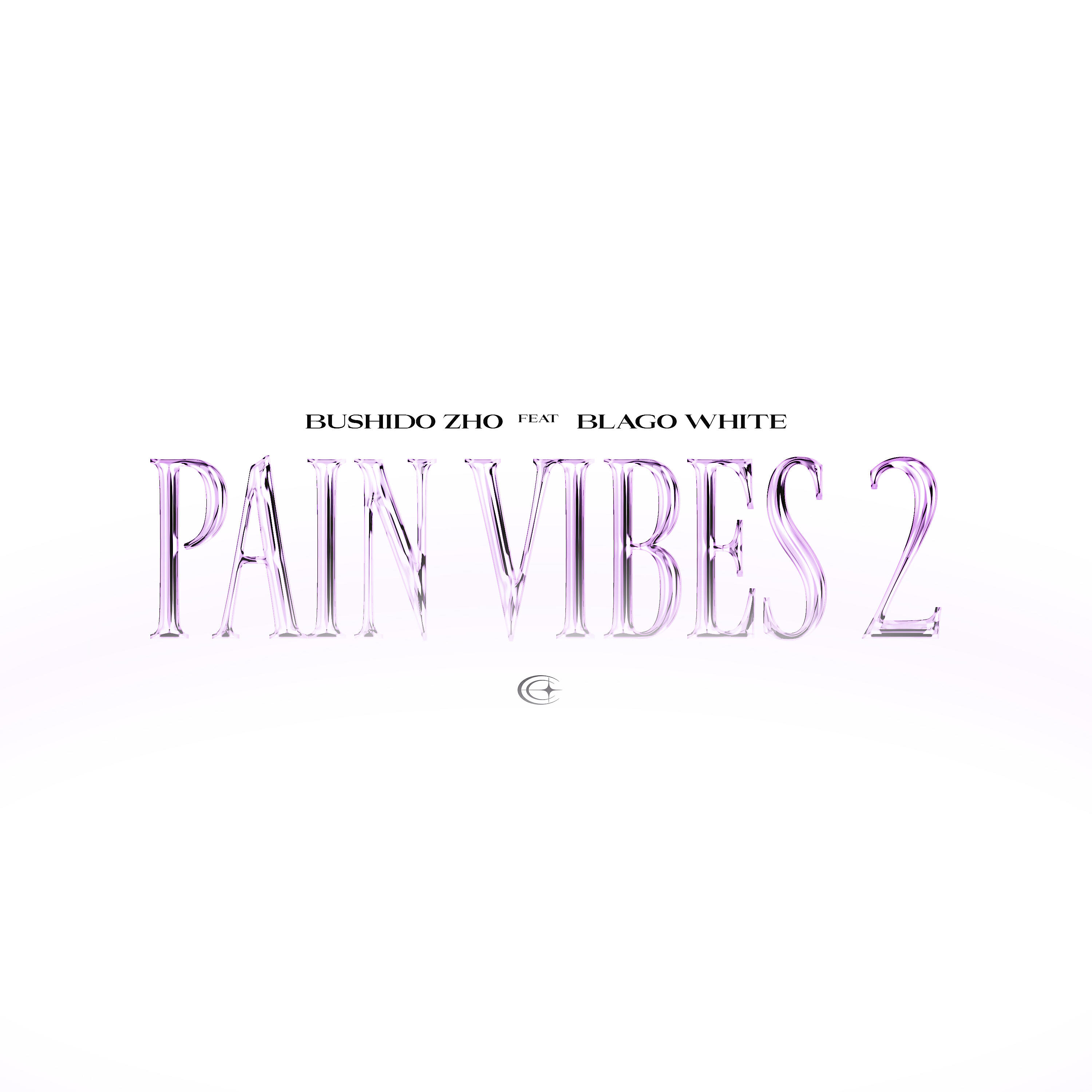 BUSHIDO ZHO - PAIN VIBES 2
