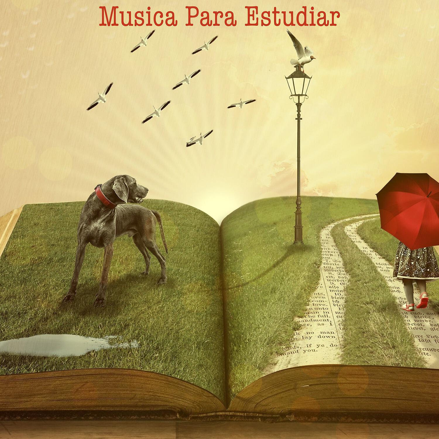 Musica Para Leer - Forest Sounds