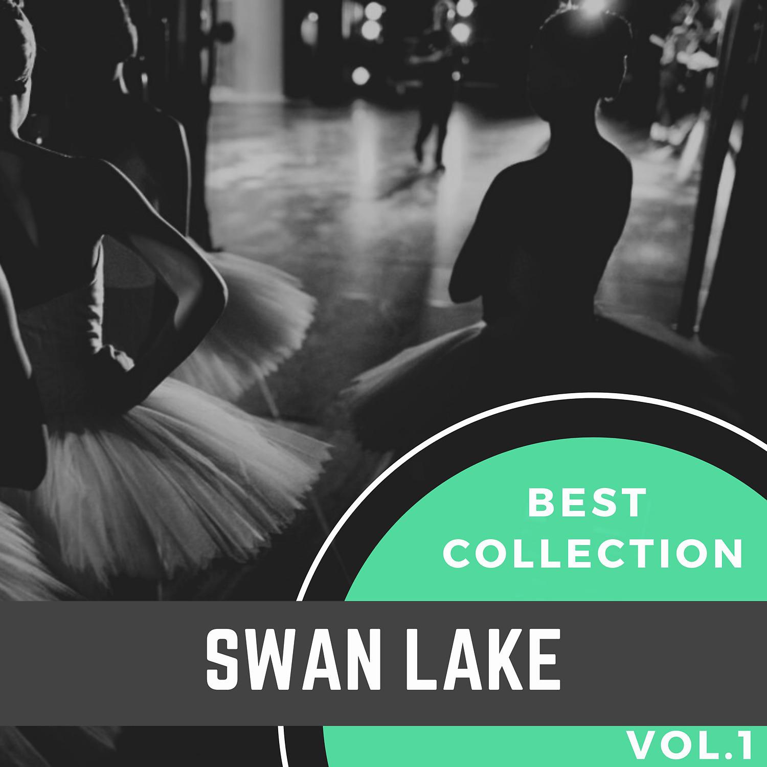 Постер альбома Best Collection Swan Lake, Vol. 1