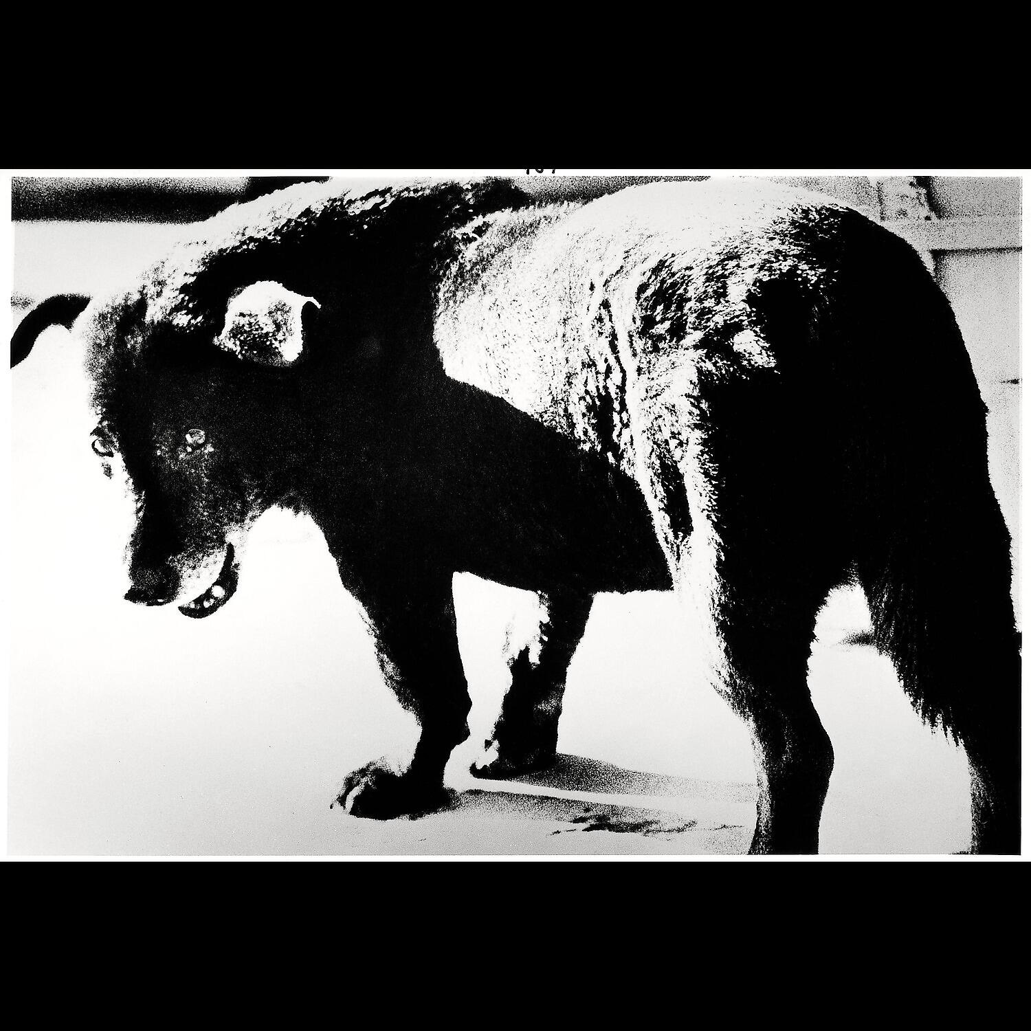 Alabama Kush - Winds of Steel (2013 Demo)