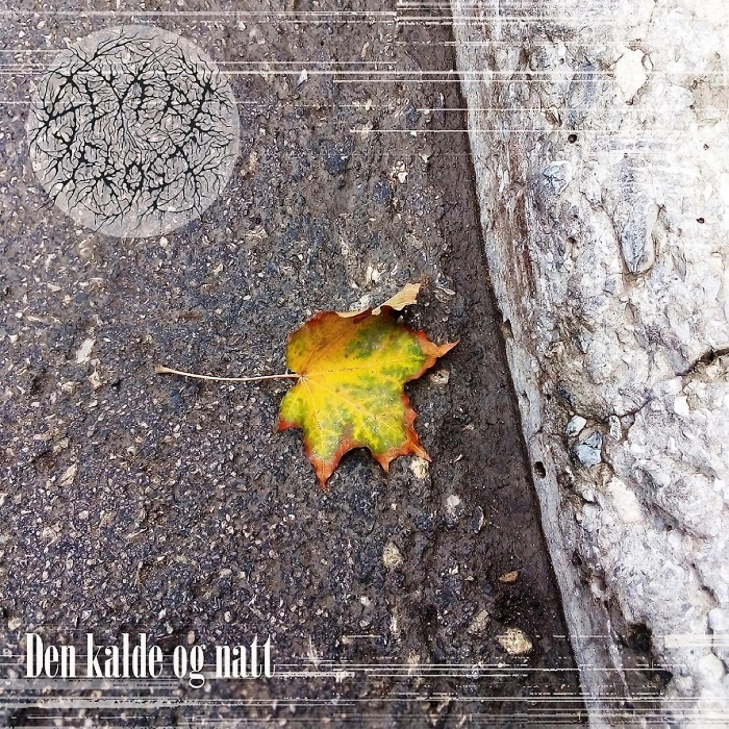 Severe Frost - Blant de Tåkete Fjorder