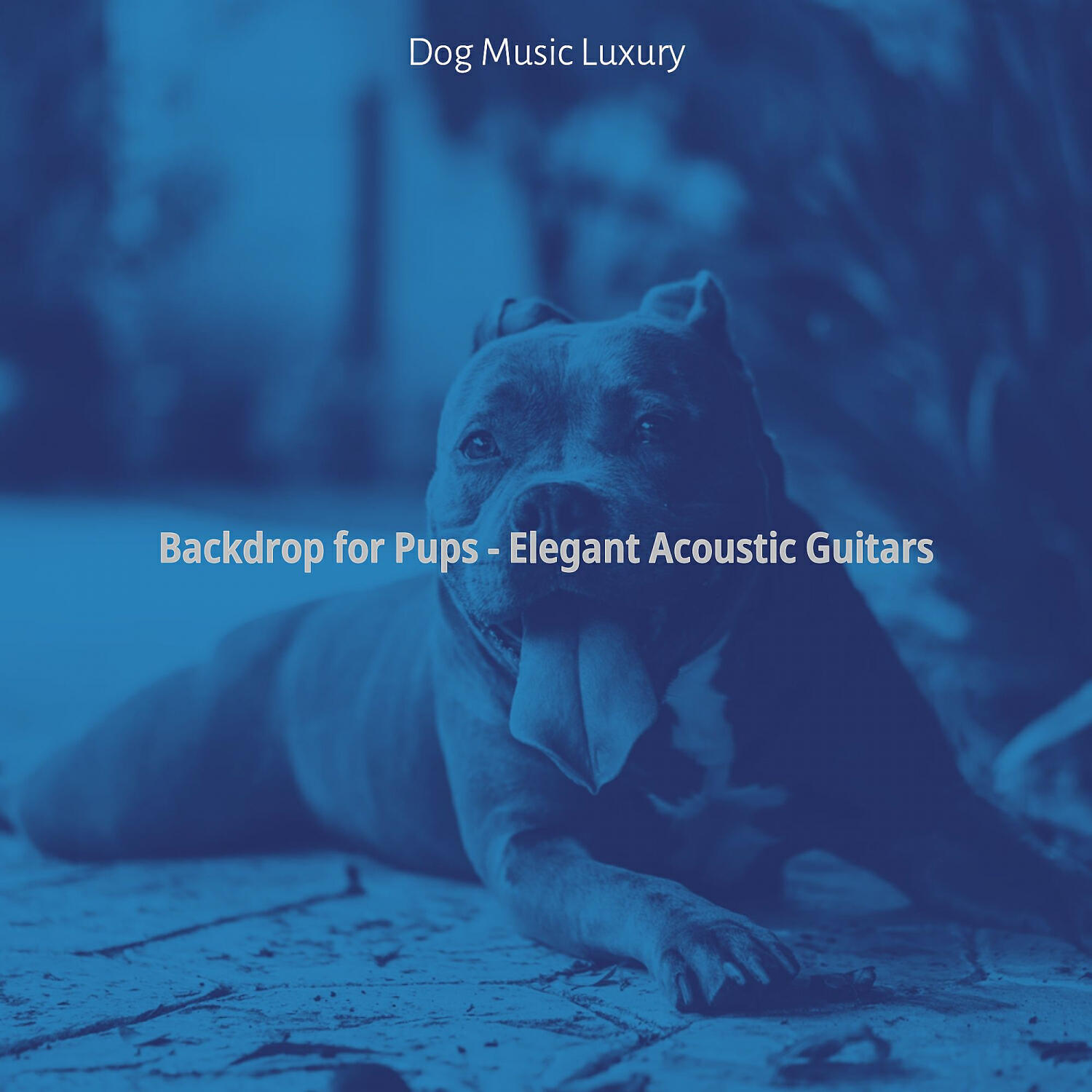 Dog Music Luxury - Easy Listening Acoustic Guitar Soundtrack for Lonely Dogs