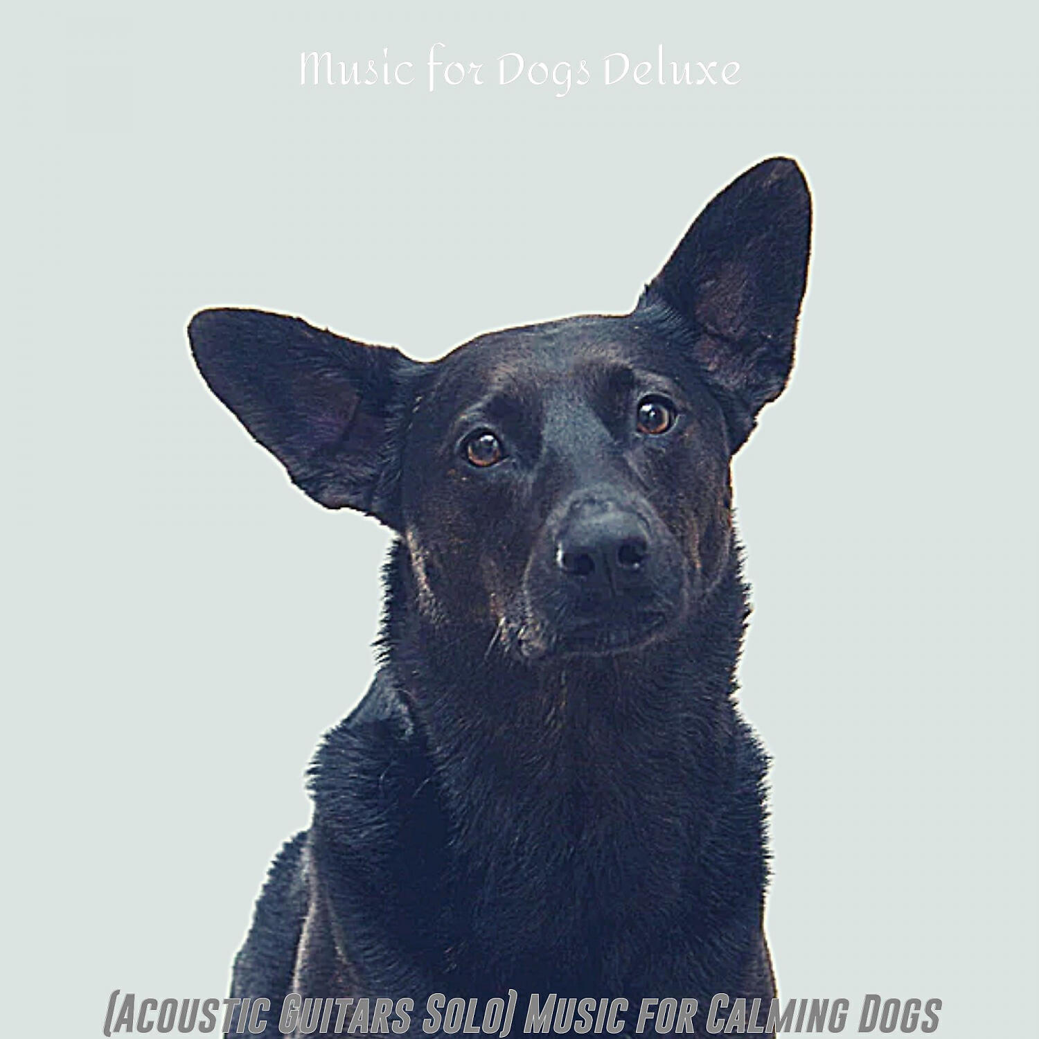 Music for Dogs Deluxe - Majestic Doggy Training
