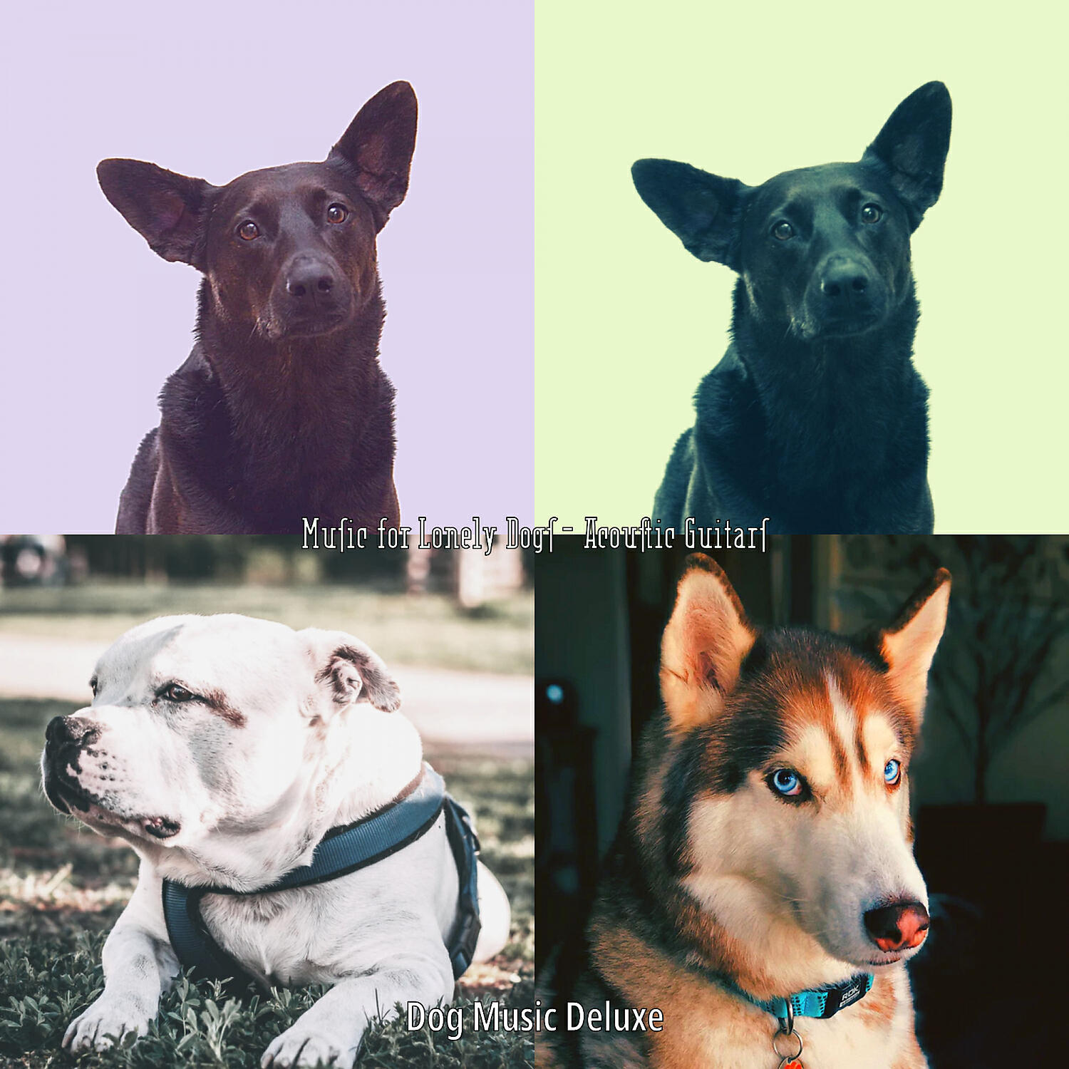 Dog Music Deluxe - Stellar Ambiance for Walking Dogs
