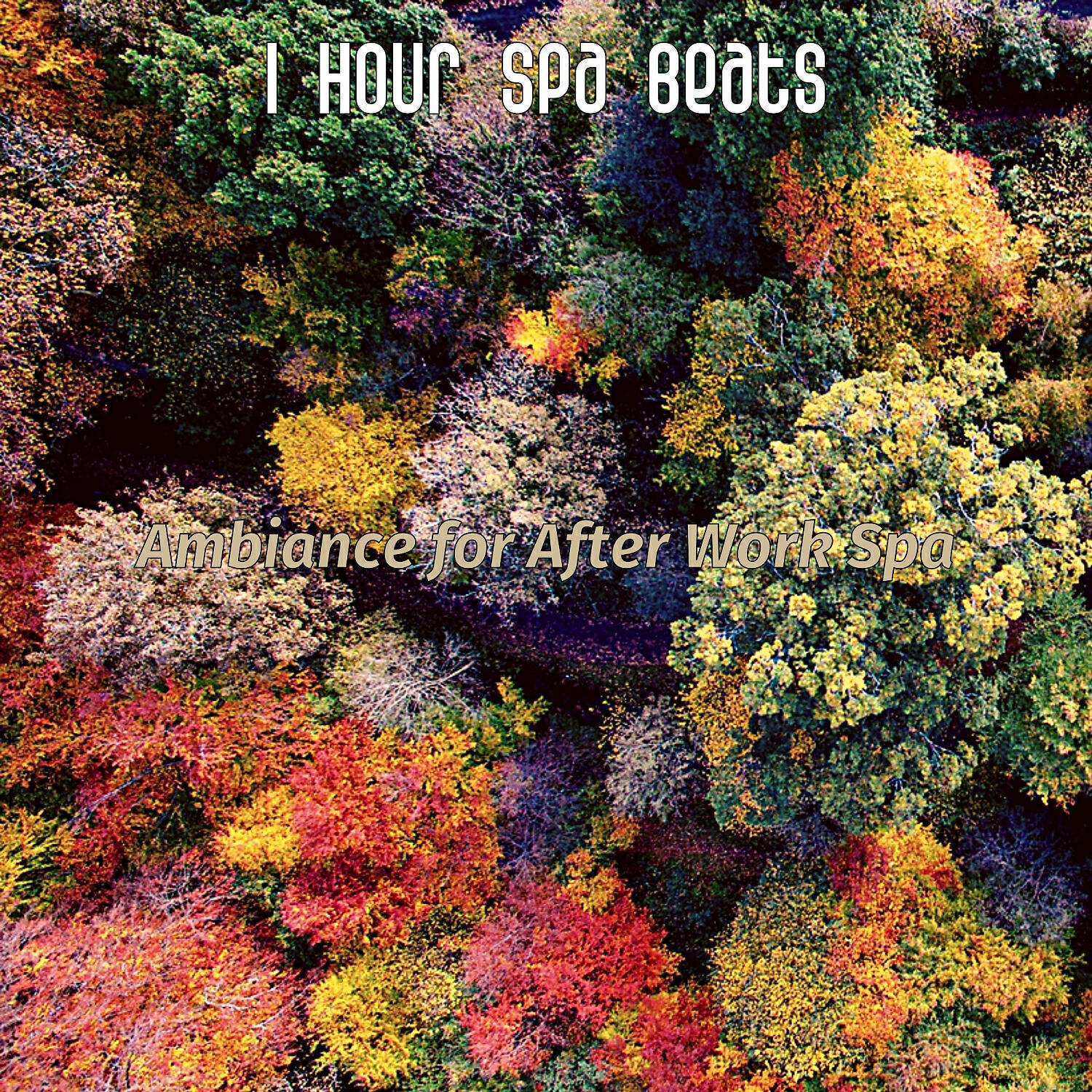 1 Hour Spa Beats - Vivacious Moods for Wellness Treatments