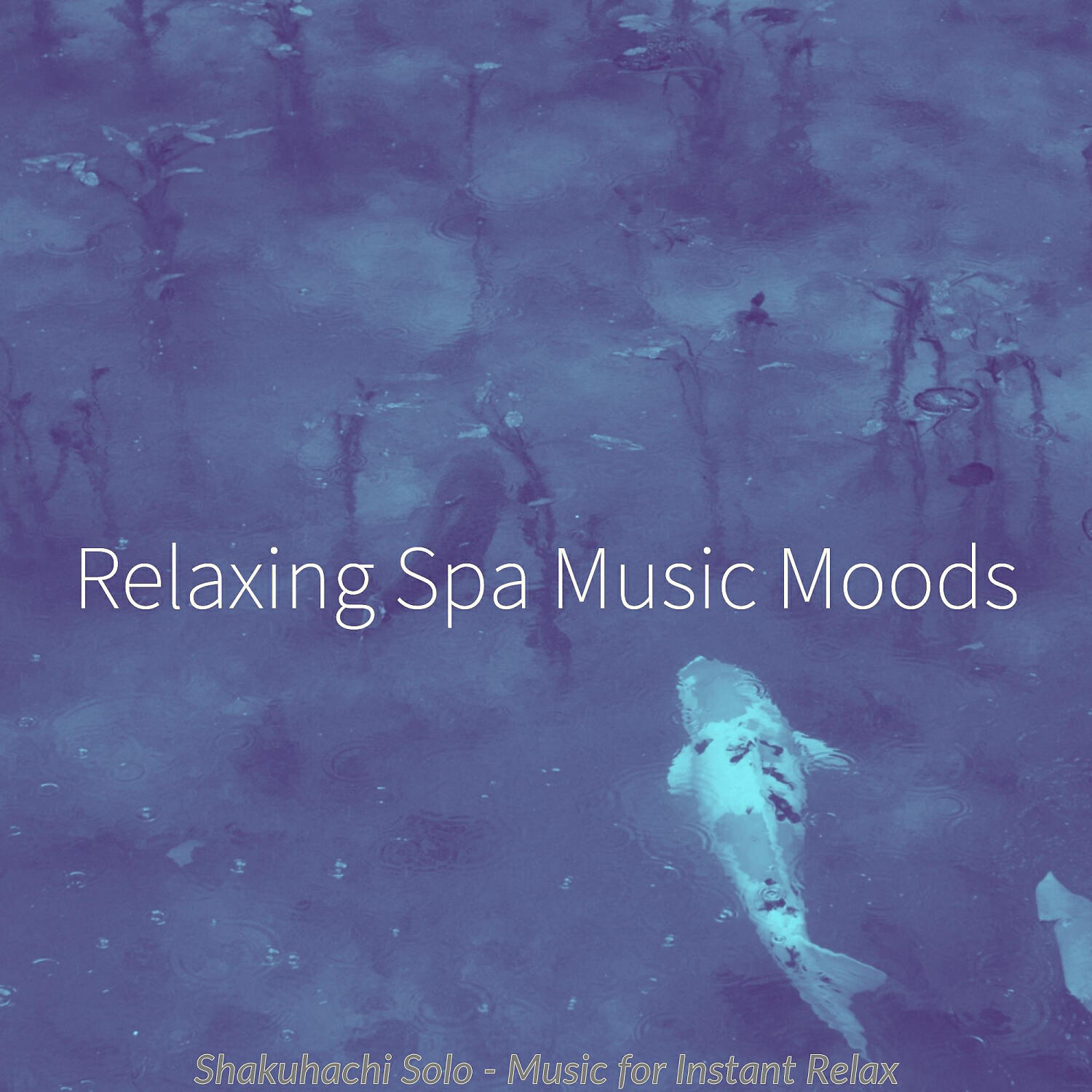 Relaxing Spa Music Moods - Excellent Shakuhachi and Harps - Vibe for Vipassana