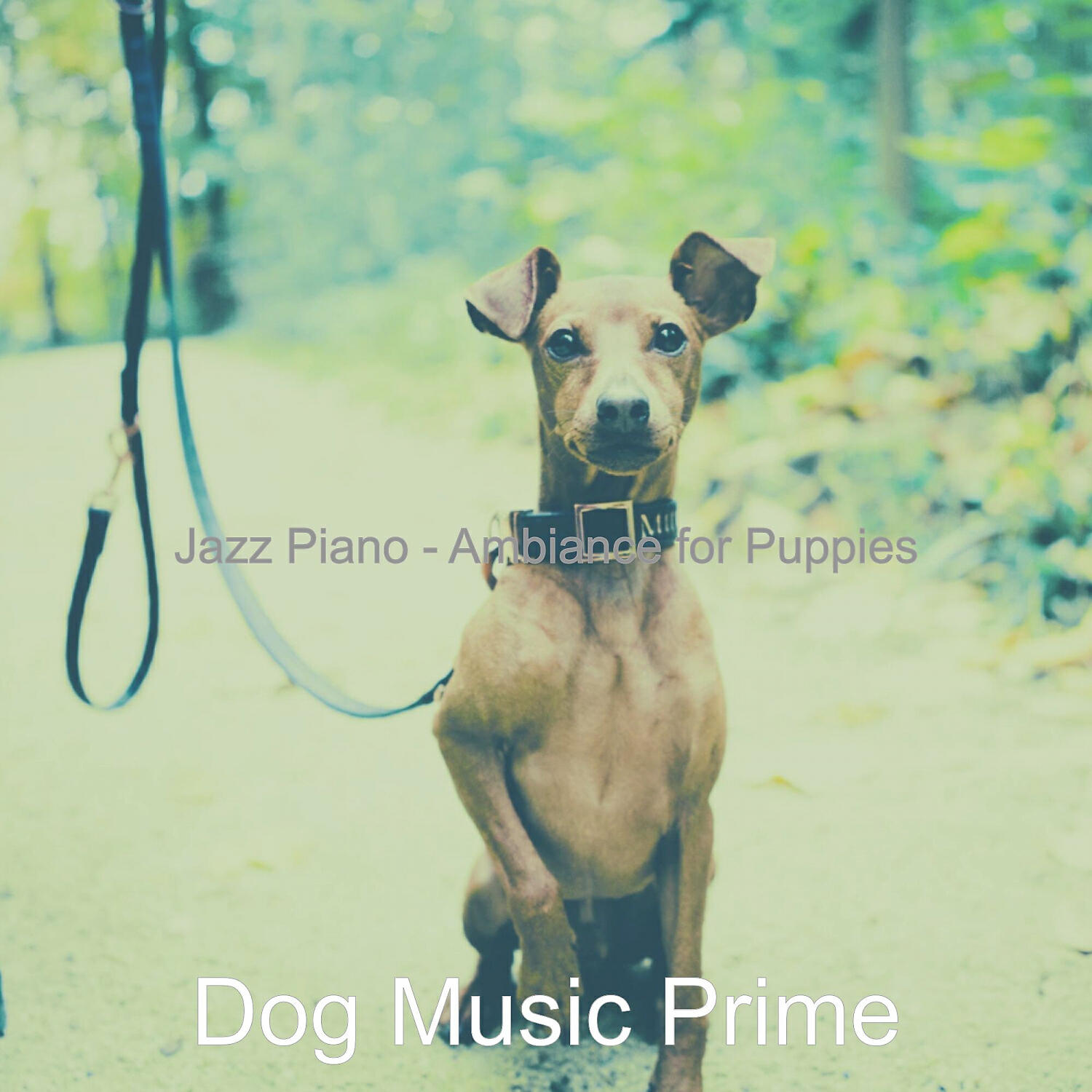 Dog Music Prime - Romantic Solo Piano Jazz - Vibe for Separation Anxiety