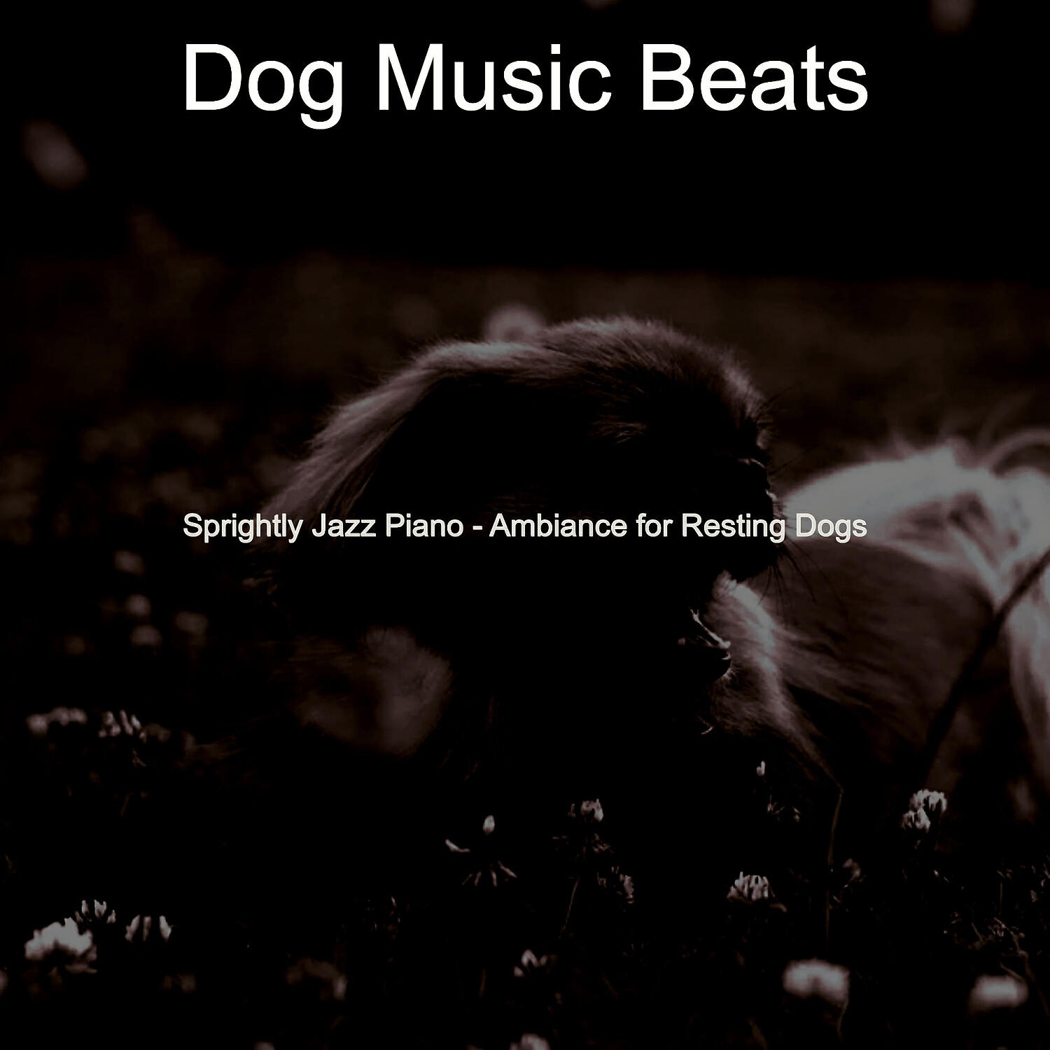 Dog Music Beats - Cultivated Solo Piano Jazz - Vibe for Resting Dogs