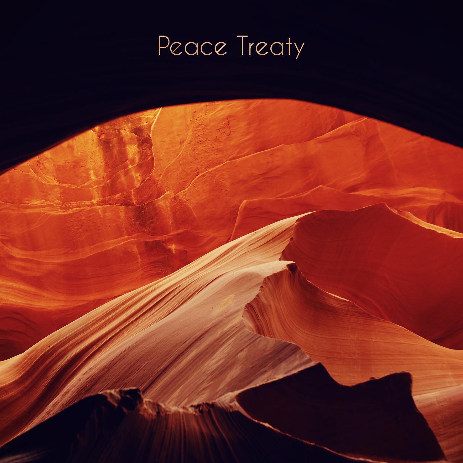 Постер альбома Peace Treaty