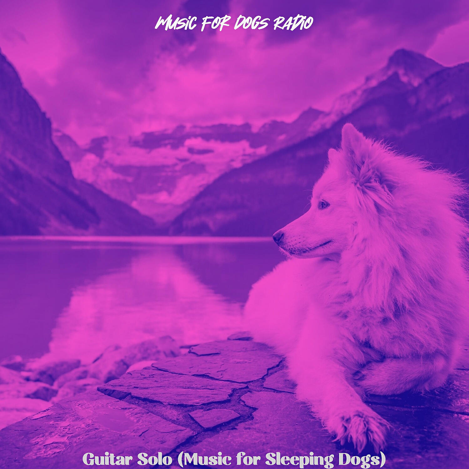 Music for Dogs Radio - Soulful Jazz Guitar Trio - Vibe for Sleeping Dogs