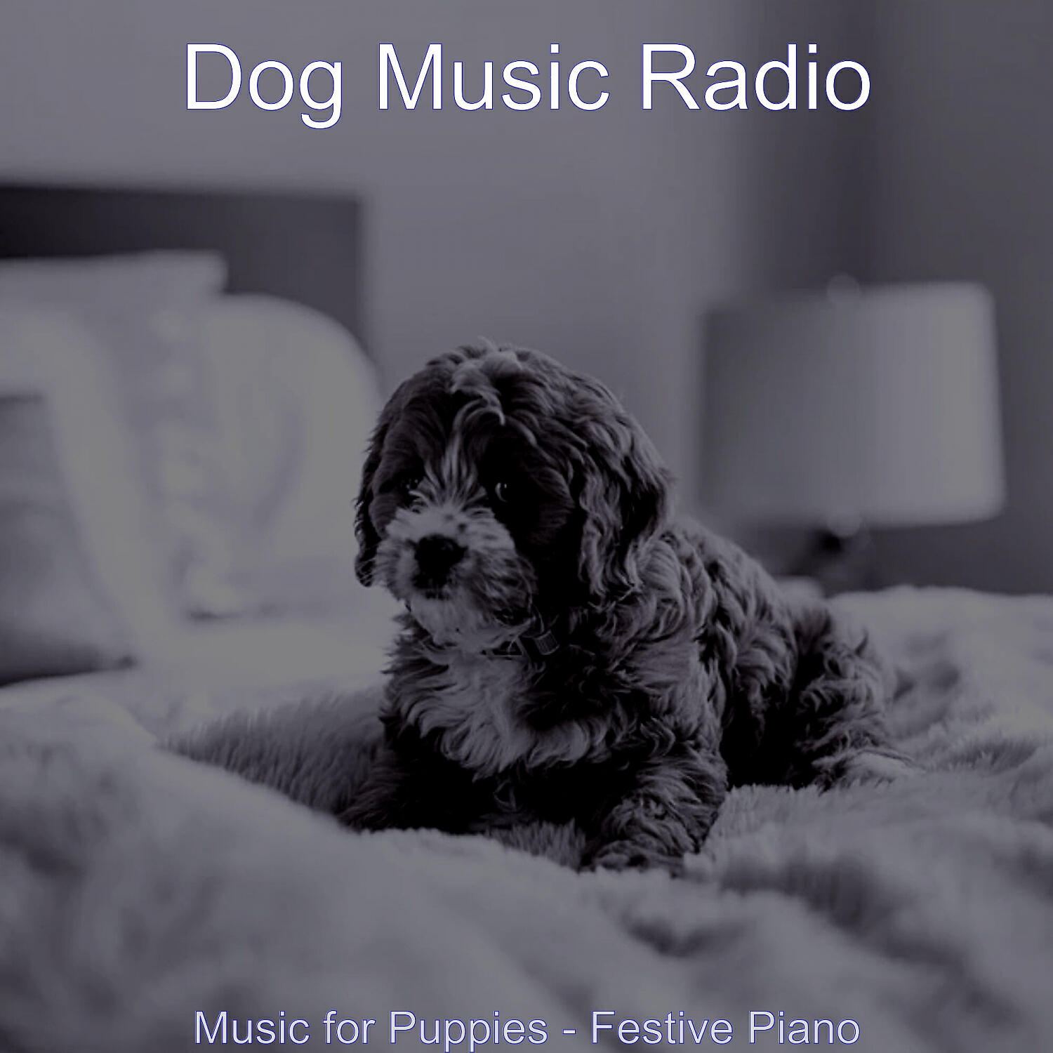 Dog Music Radio - Urbane Solo Piano Jazz - Vibe for Separation Anxiety