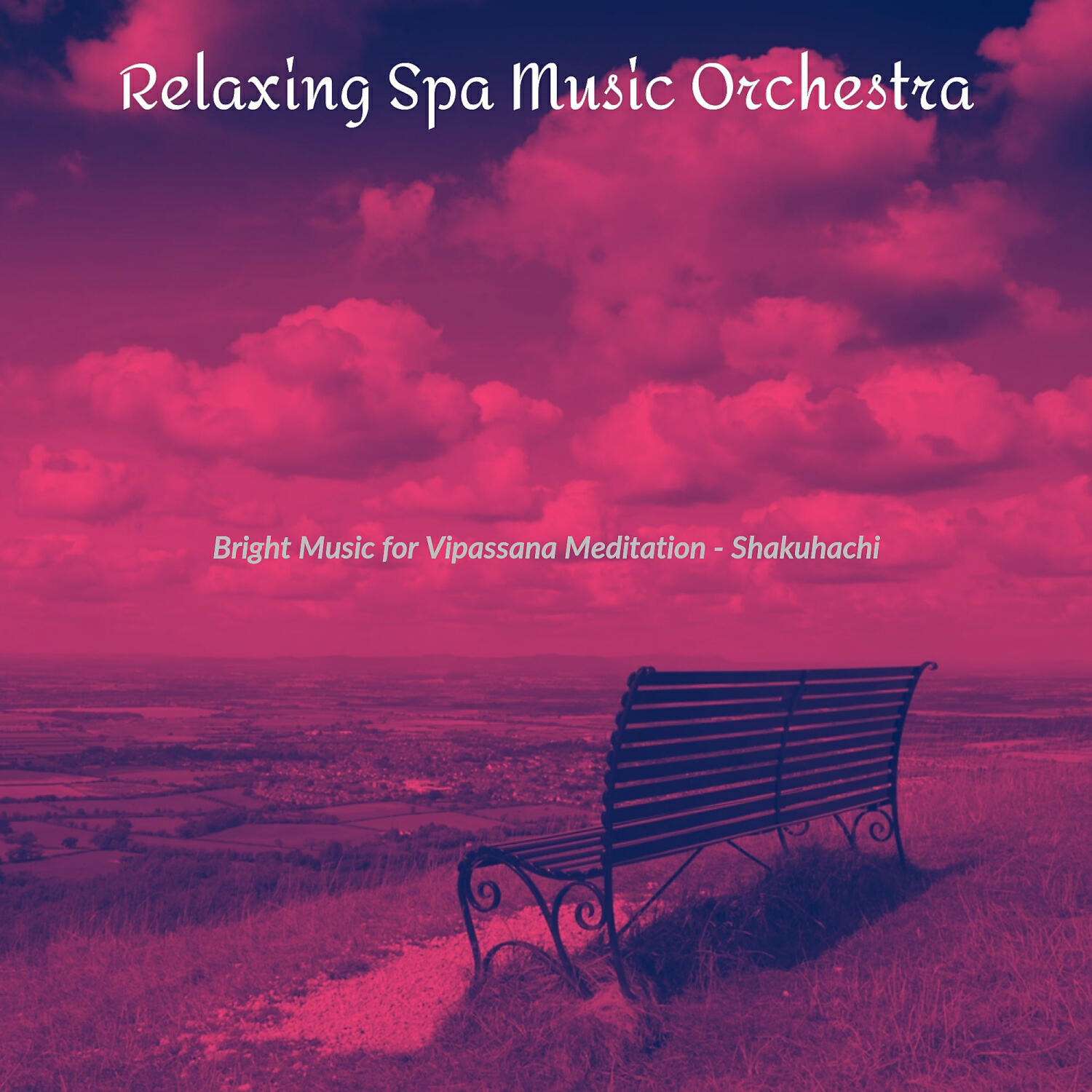 Relaxing Spa Music Orchestra - Brilliant Ambience for 1 Hour Spa