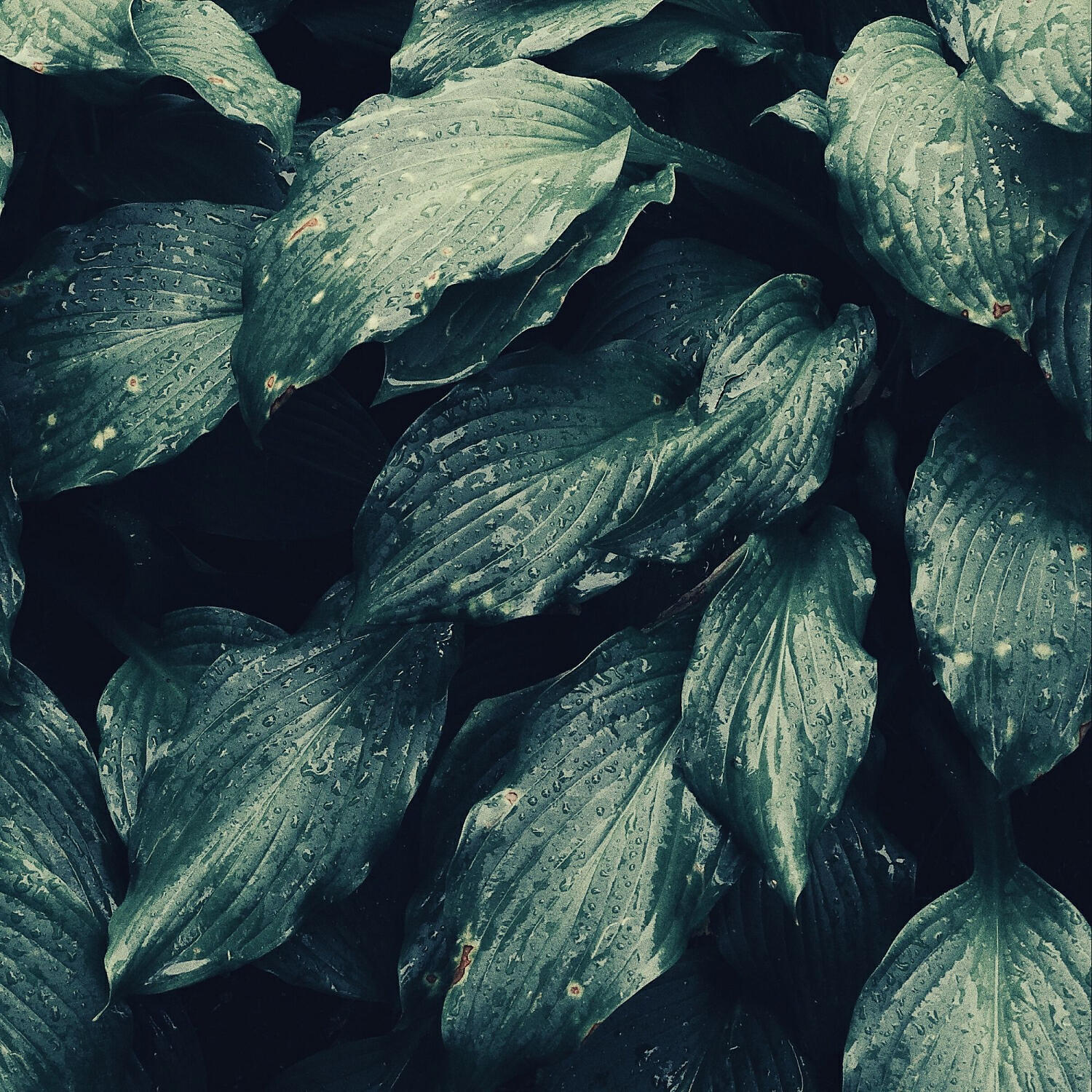 Soft Jazz Luxury - Calm Music for Summer Vacation