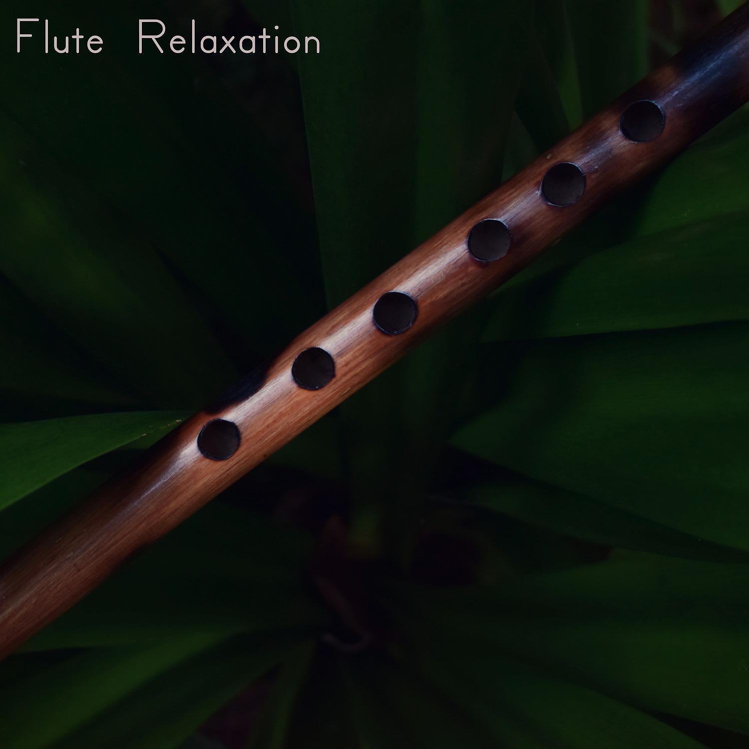 Постер альбома Flute Relaxation