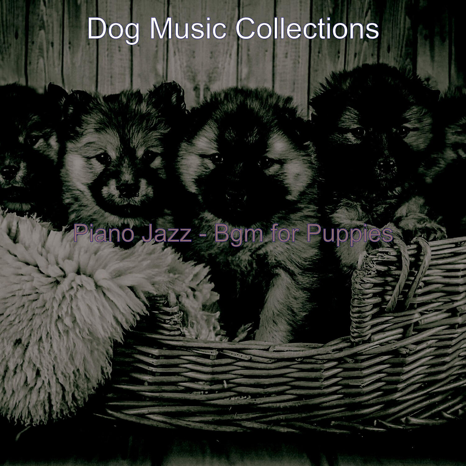 Dog Music Collections - Piano Jazz Soundtrack for Separation Anxiety