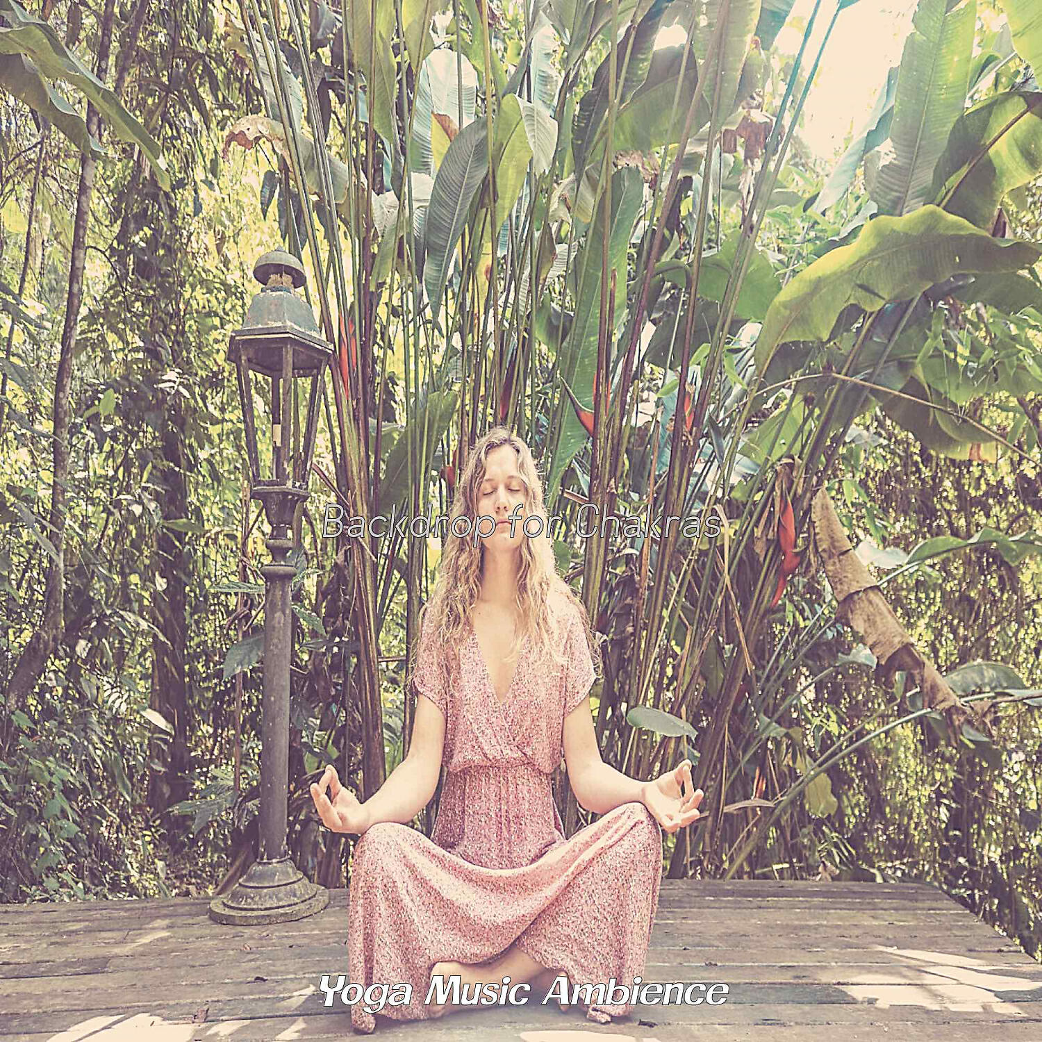 Yoga Music Ambience - Sultry Koto Solo - Vibe for Hatha Yoga Kriyas
