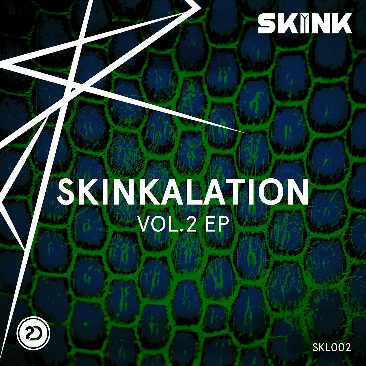 Постер альбома Skinkalation Vol 2.