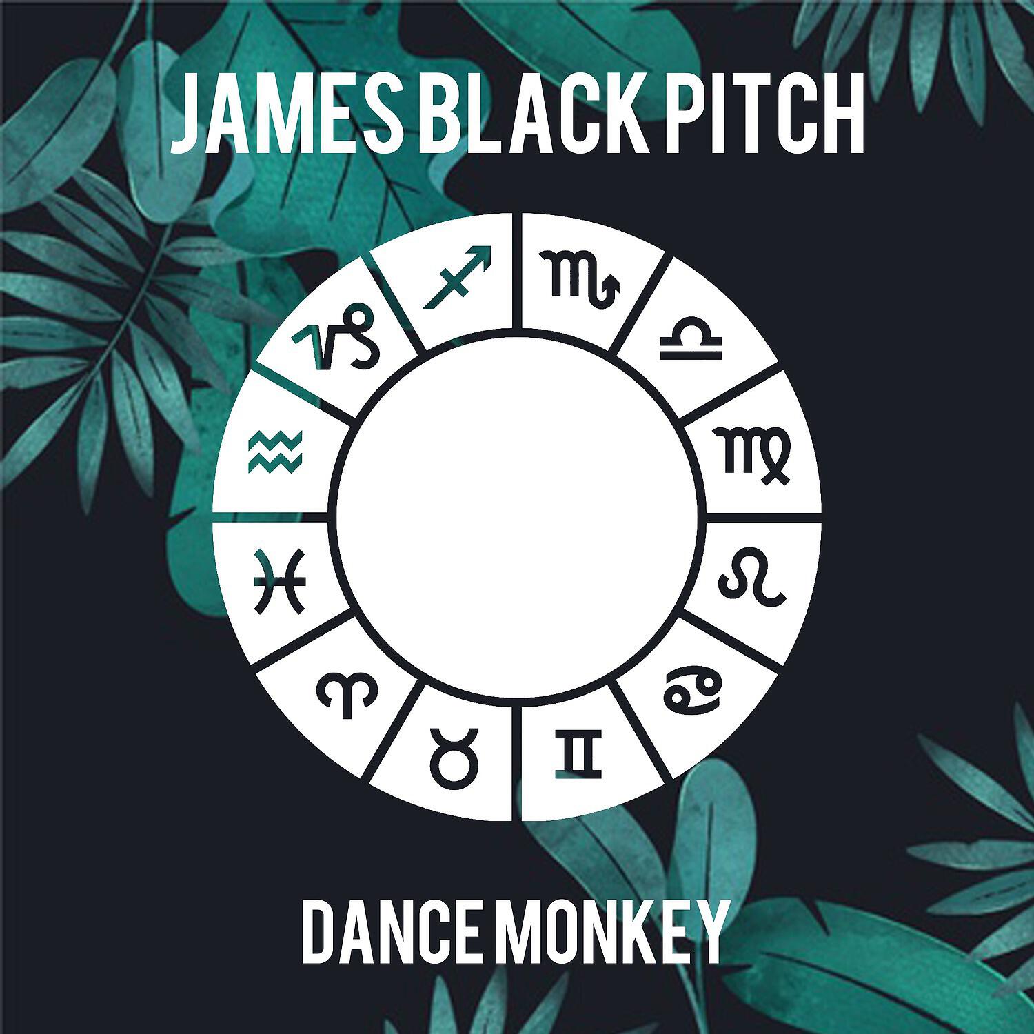 James Black Pitch - Dance Monkey (Extended Mix)