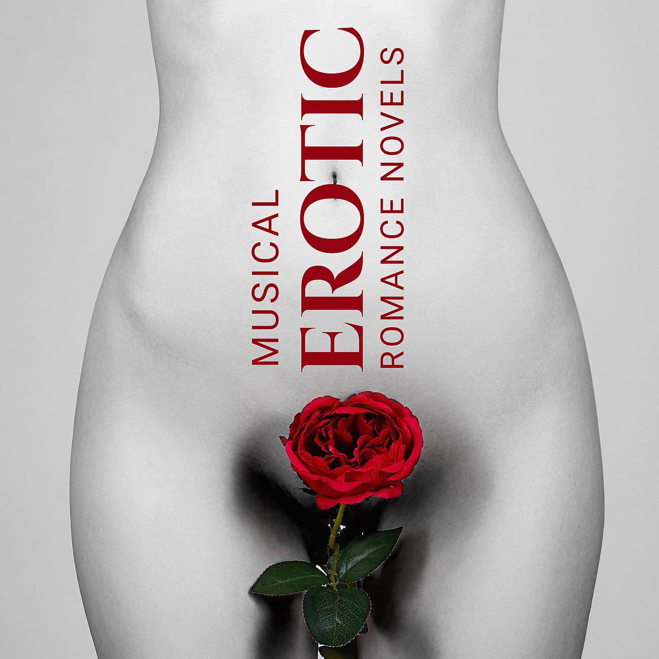 Постер альбома Musical Erotic Romance Novels - Soft Music for Lovers