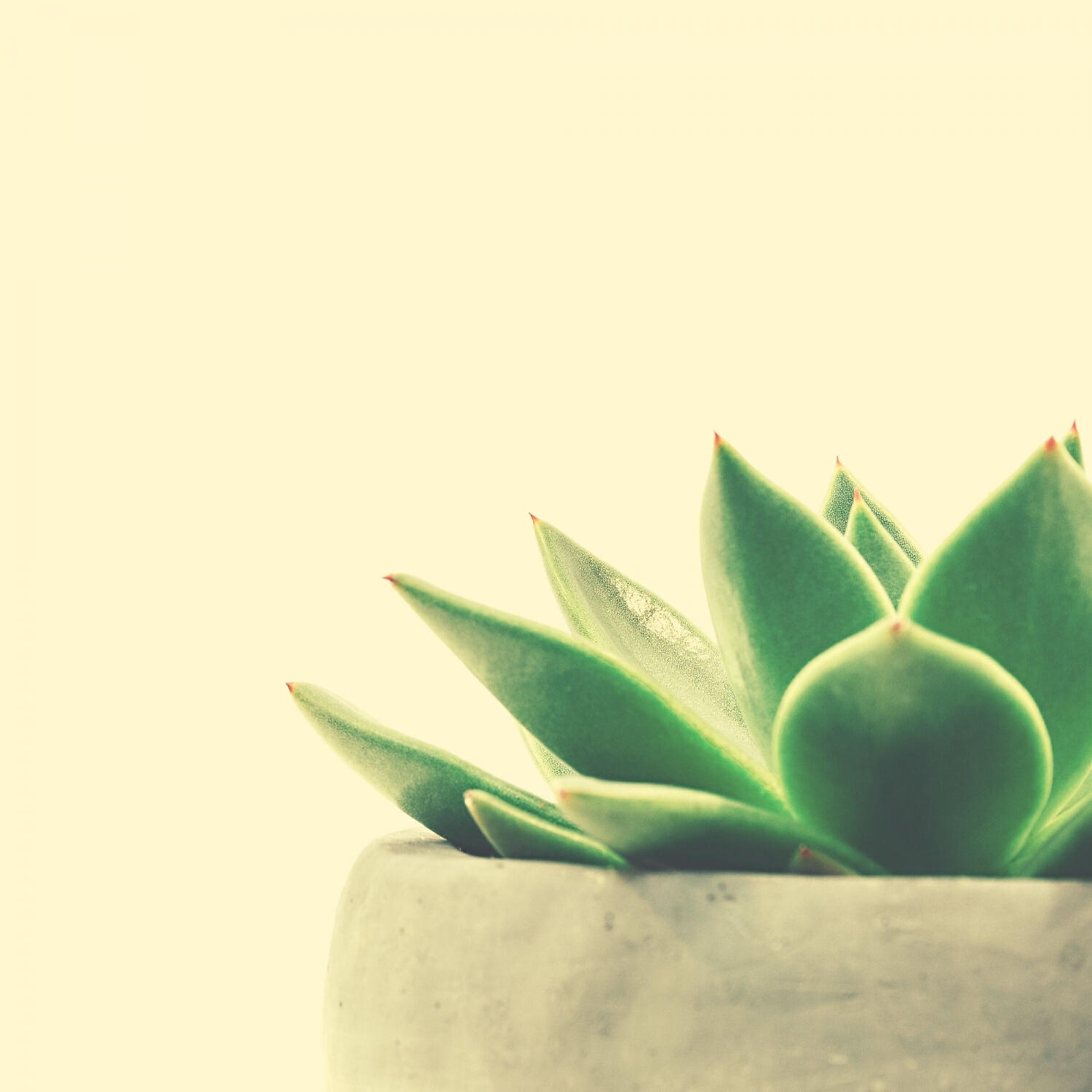 Calm Soft Jazz - Bright Moods for Relaxing Moods
