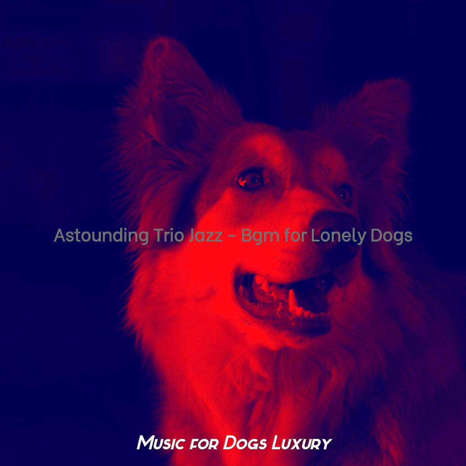 Music for Dogs Luxury - Lonely Moods for Lonely Dogs