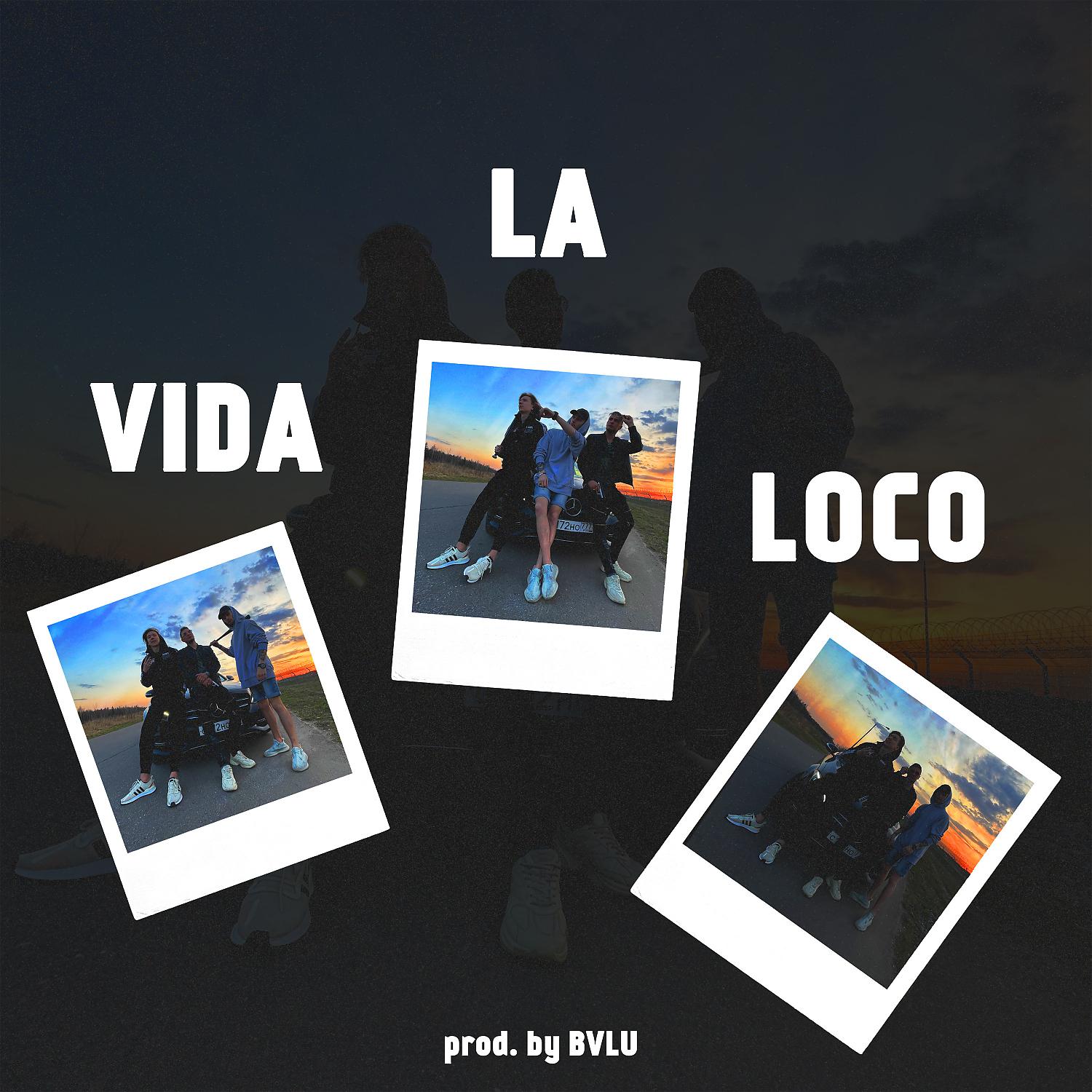 Постер альбома LA VIDA LOCO