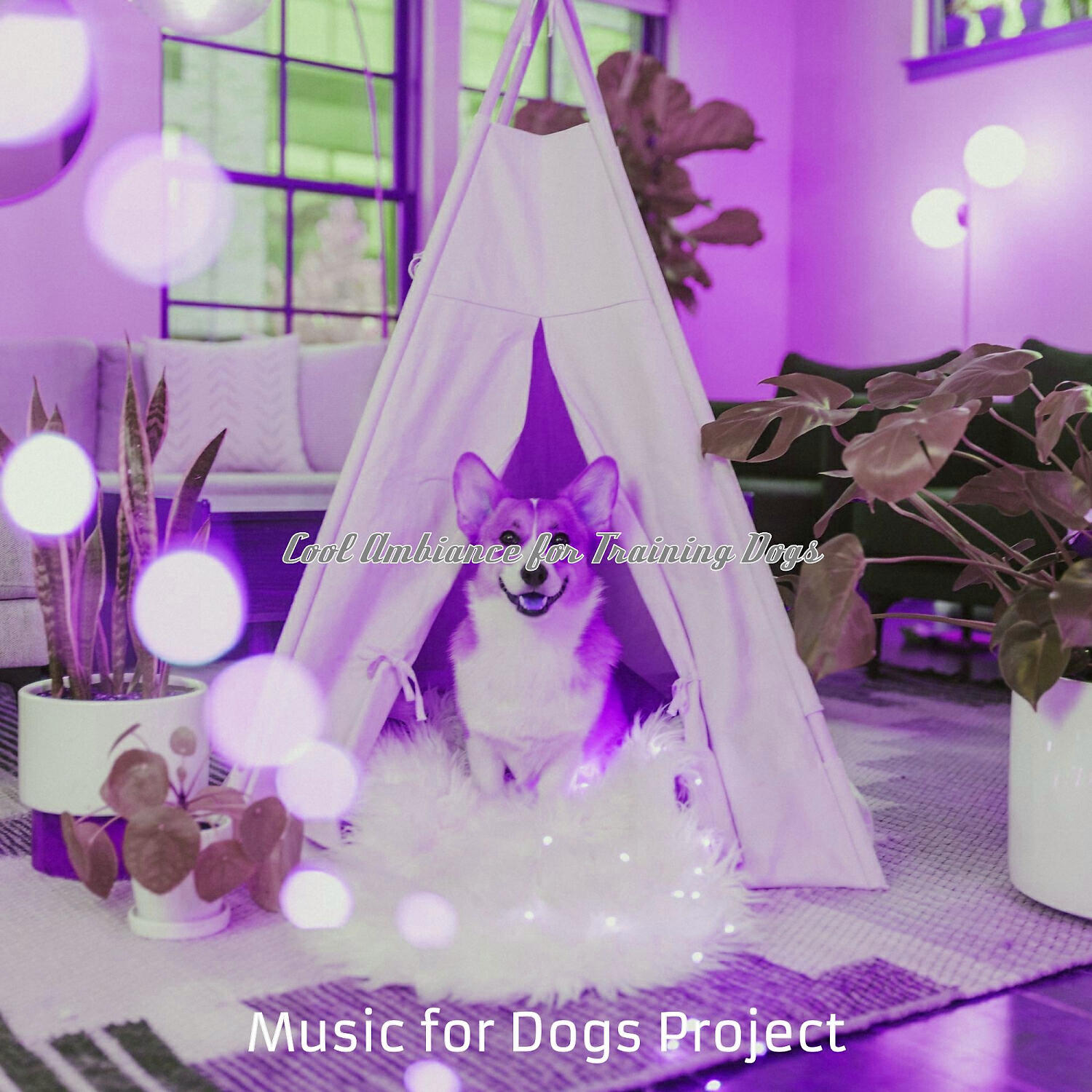 Music for Dogs Project - Background for Cute Puppies