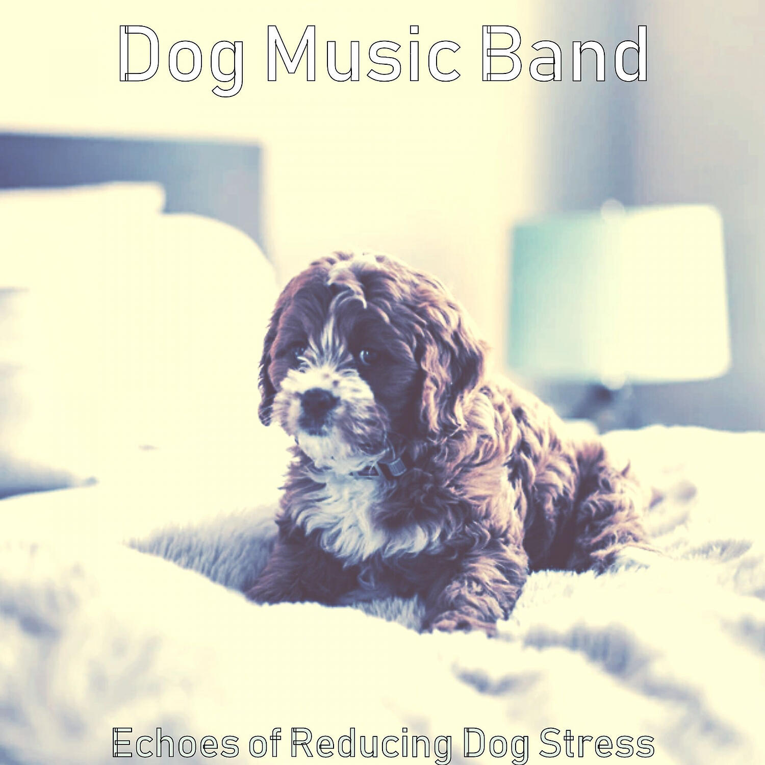 Dog Music Band - Piano Jazz Soundtrack for Resting Dogs