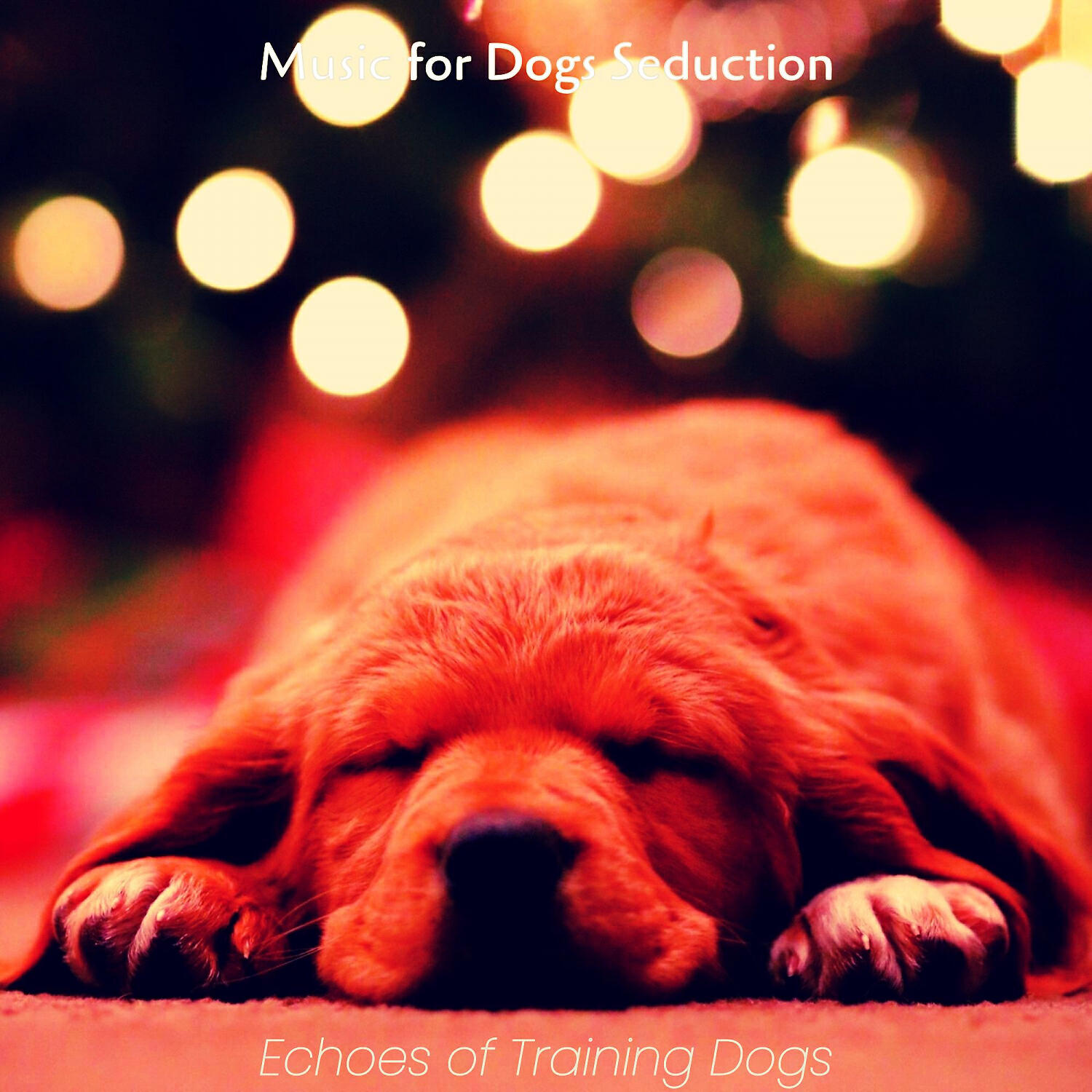 Music for Dogs Seduction - Superlative Moods for Cute Puppies