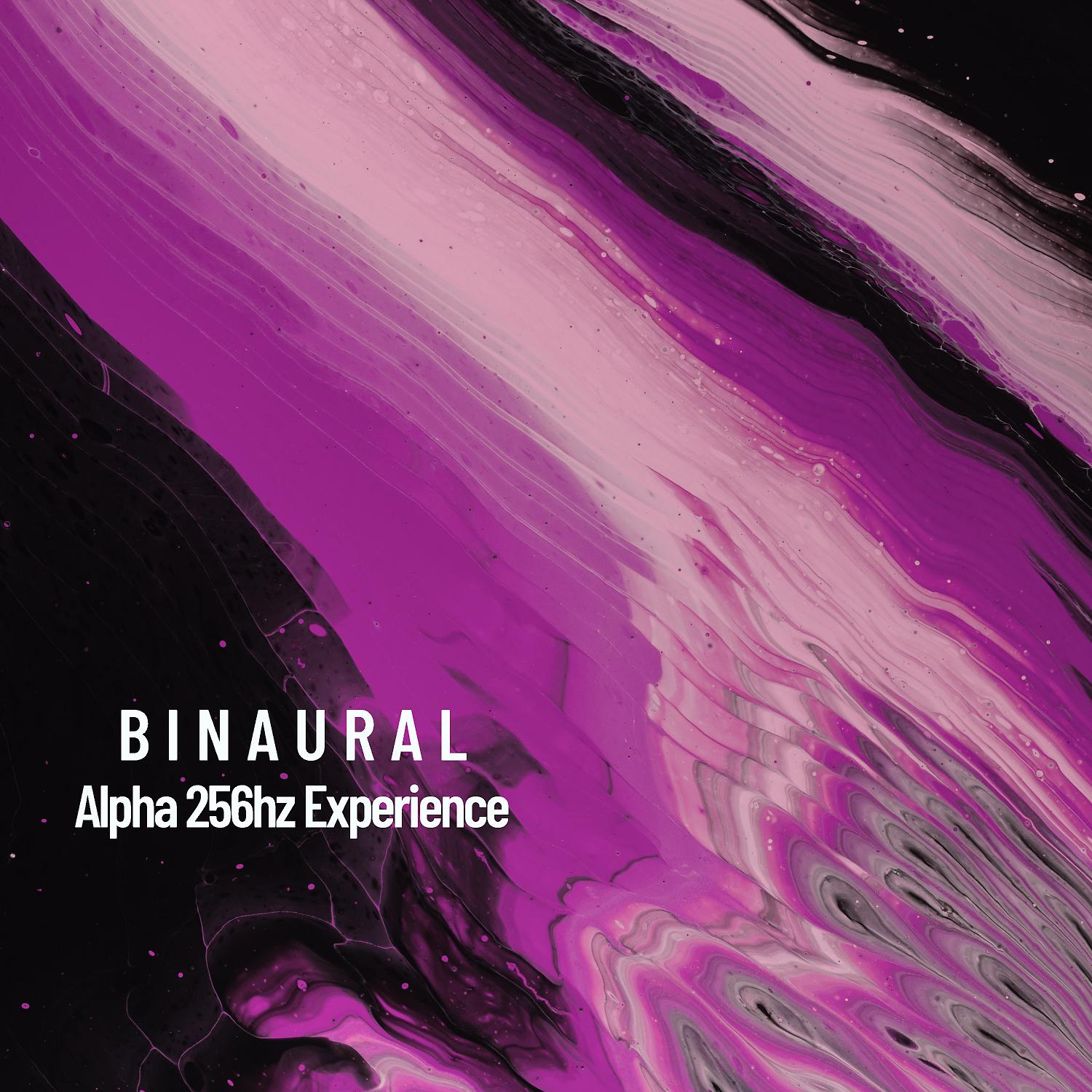 Постер альбома Binaural: Alpha 256hz Experience