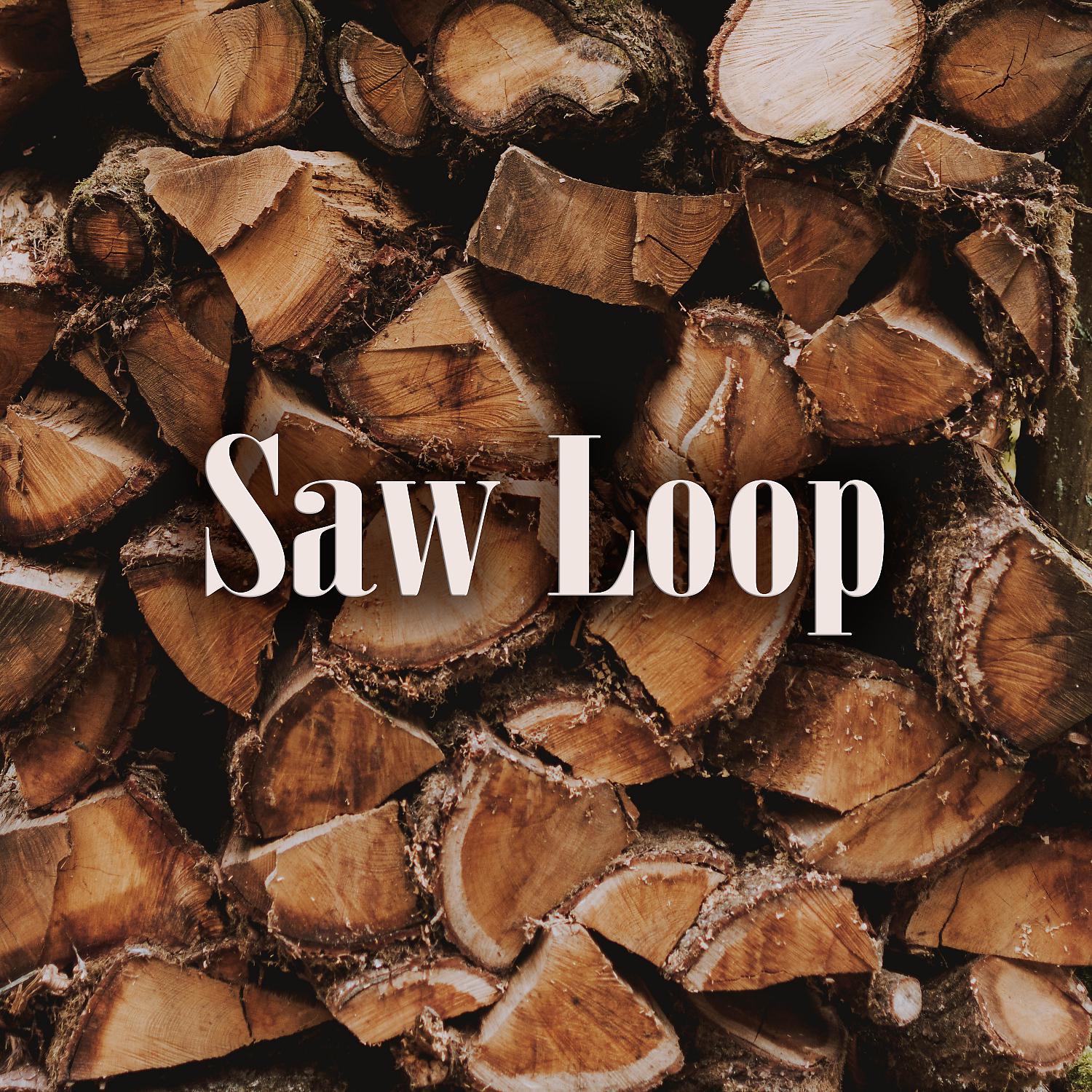 Постер альбома Saw Loop