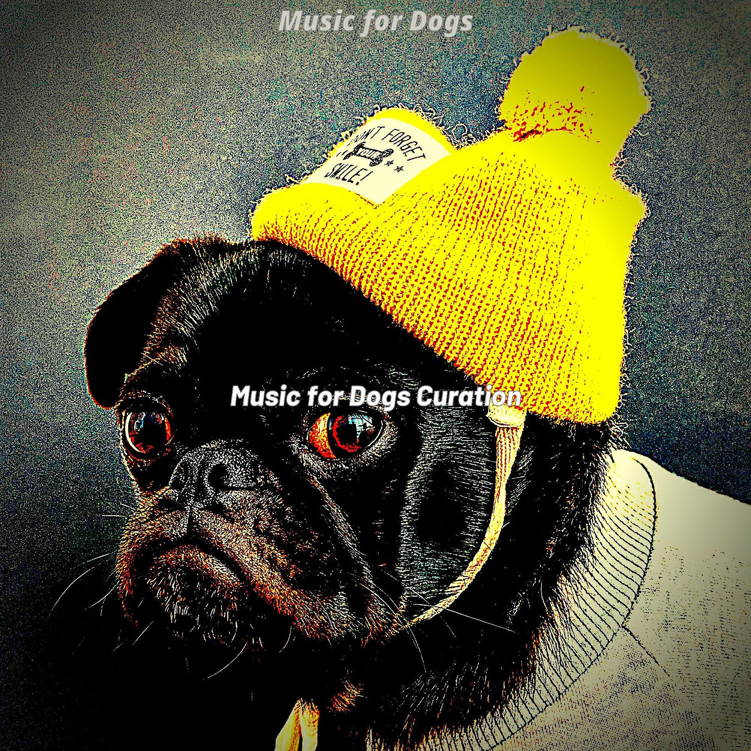 Music for Dogs Curation - Phenomenal Ambience for Lonely Dogs