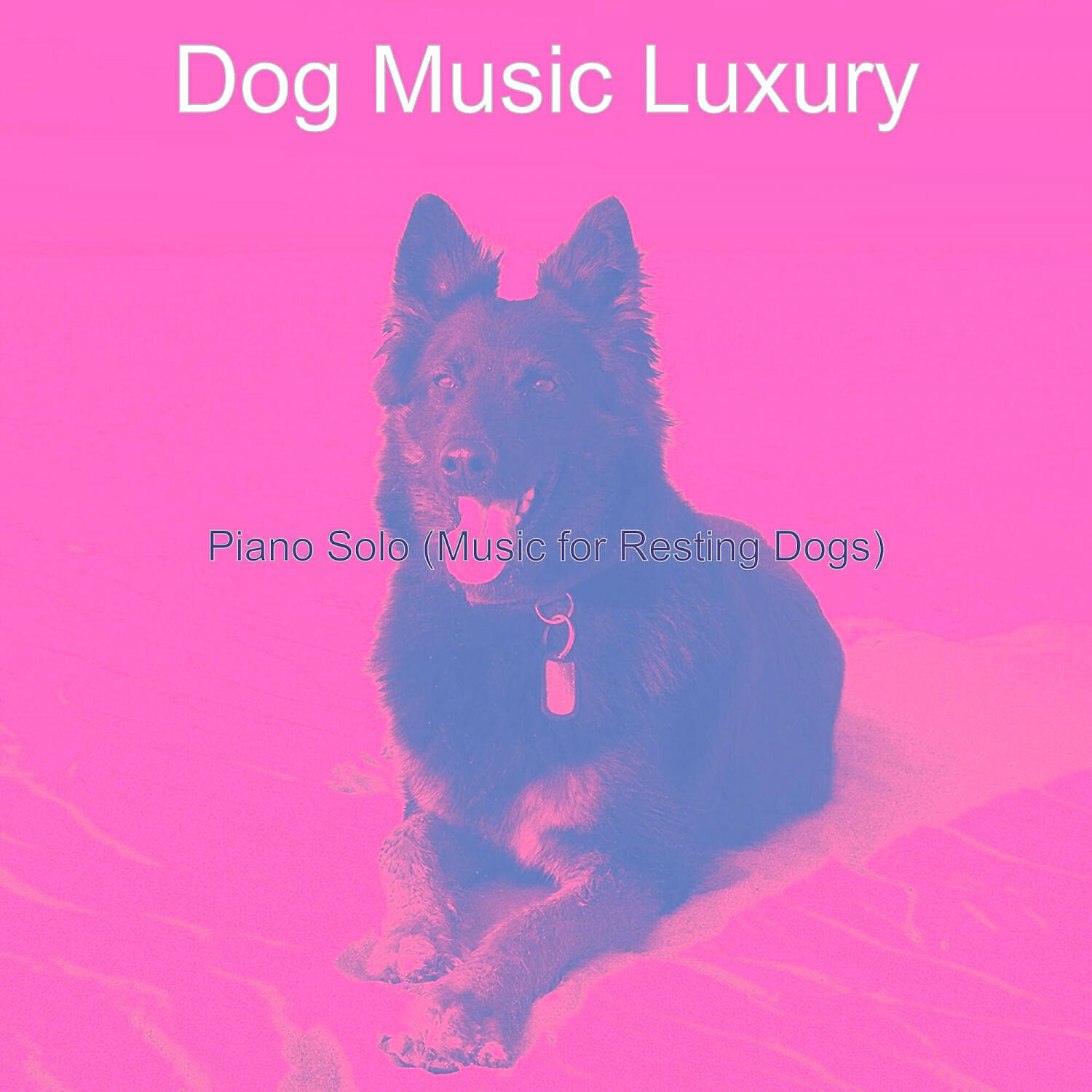 Dog Music Luxury - Background for Cute Dogs