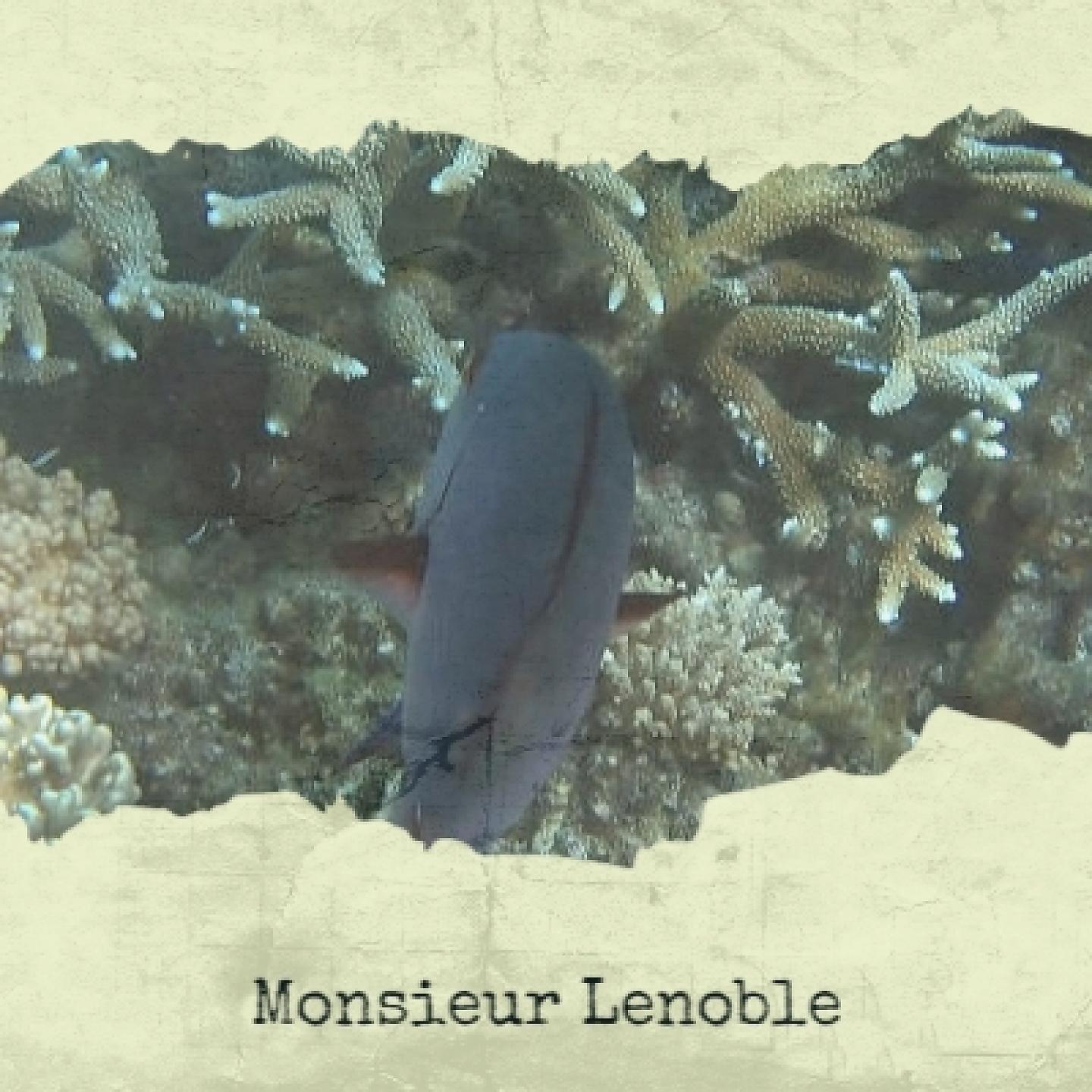 Постер альбома Monsieur Lenoble