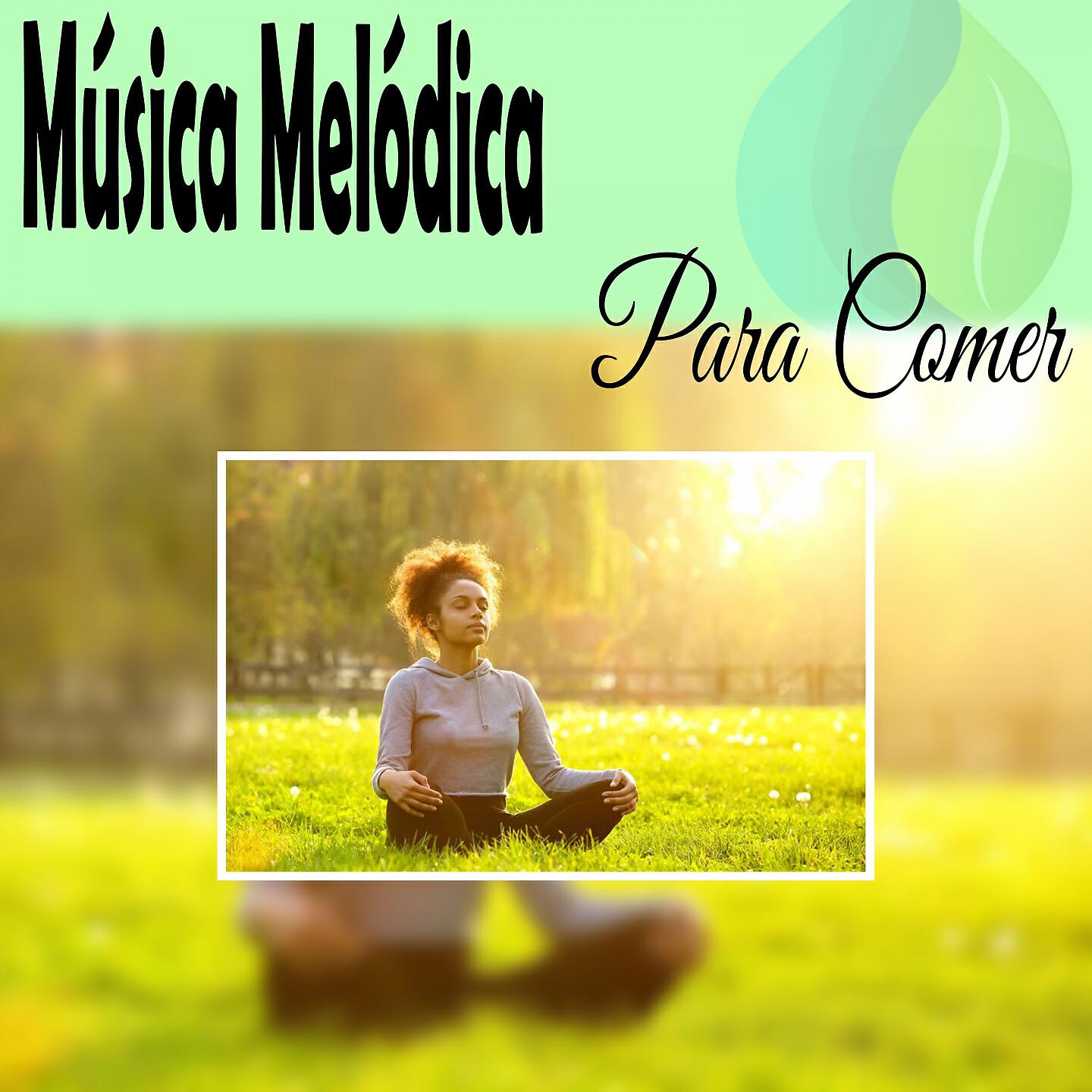 Melodicos Sonidos - Fuera Depresión