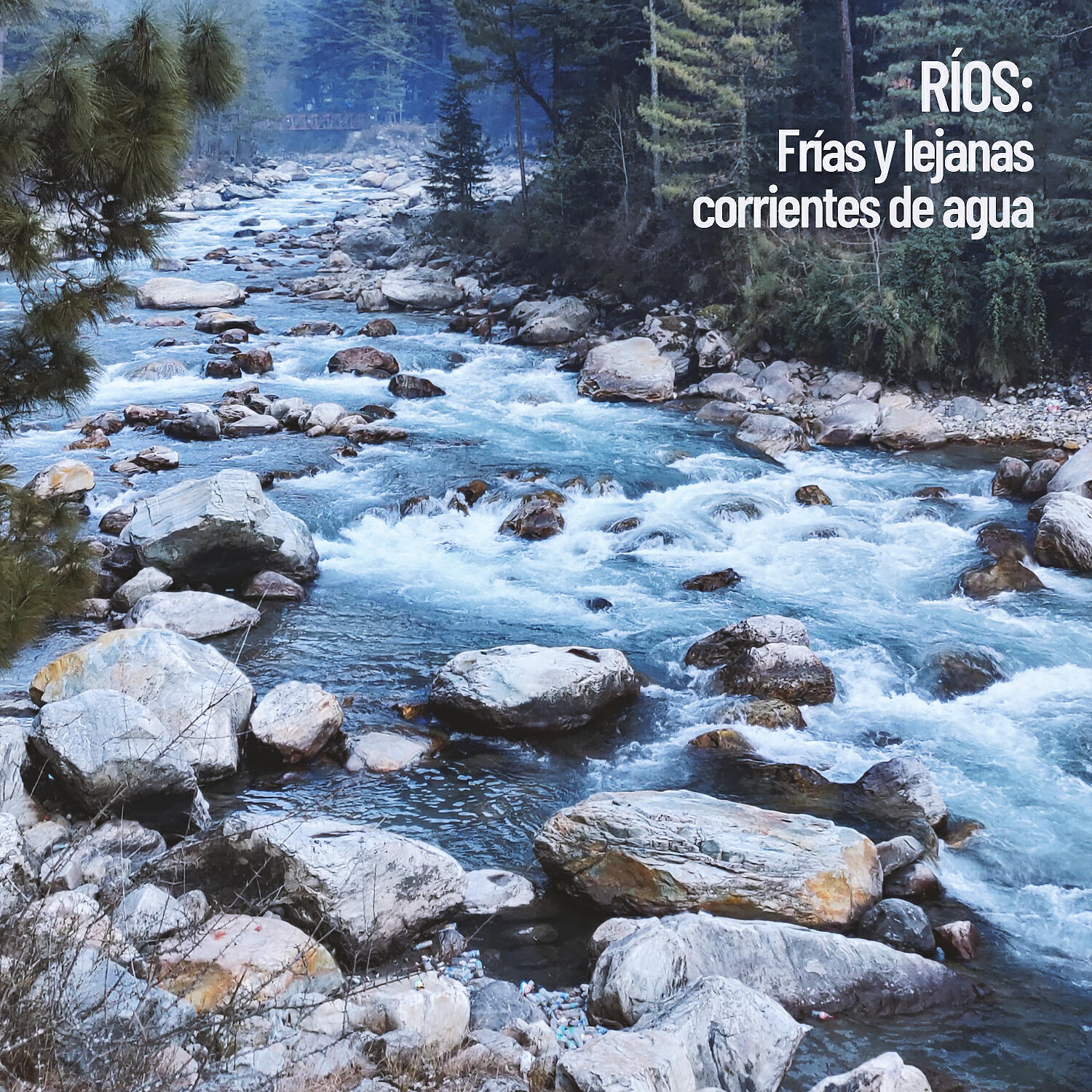 Water Science - Corriente pura subterránea