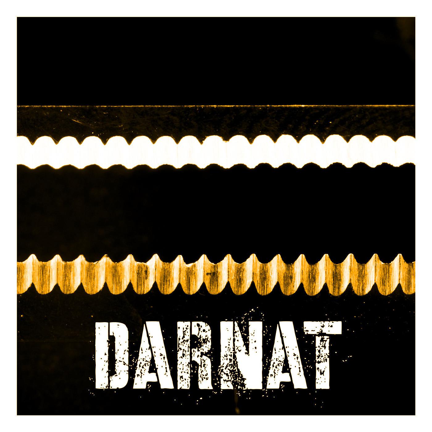 Постер альбома Darnat