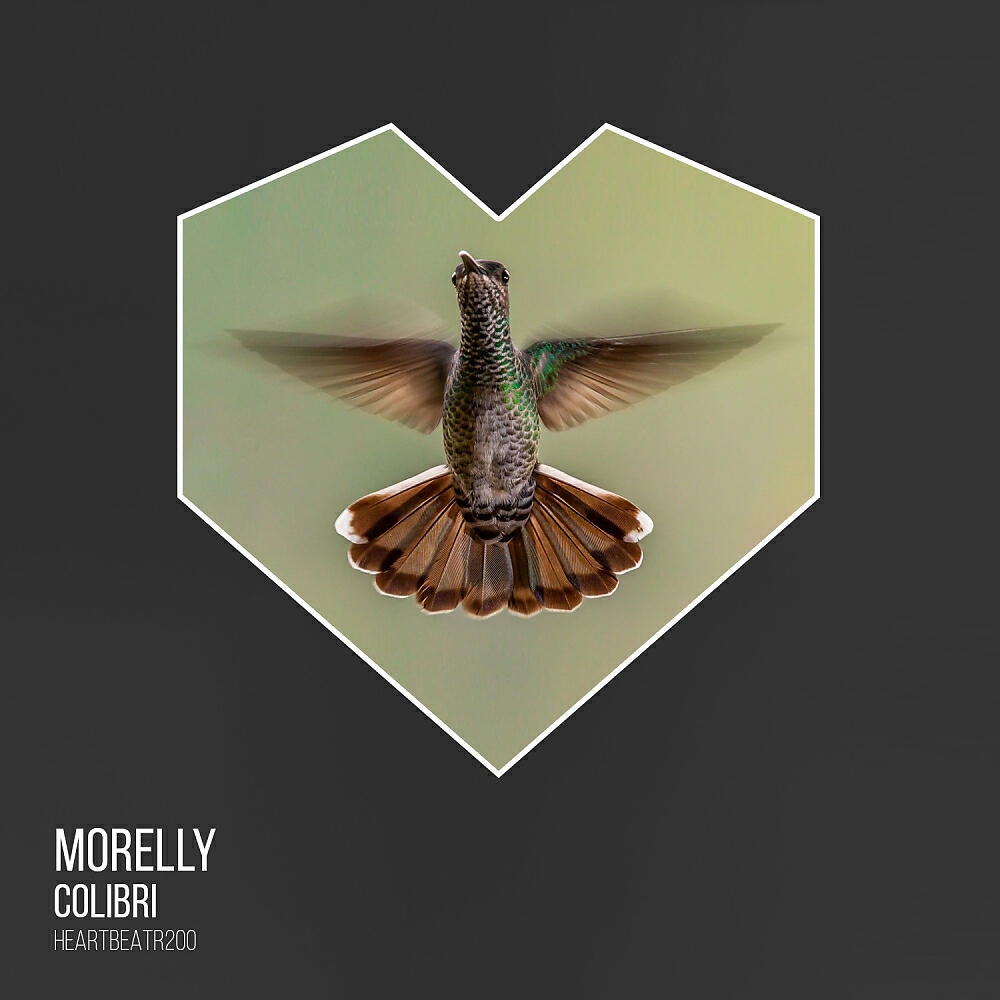 MORELLY - Colibri (Radio Edit)