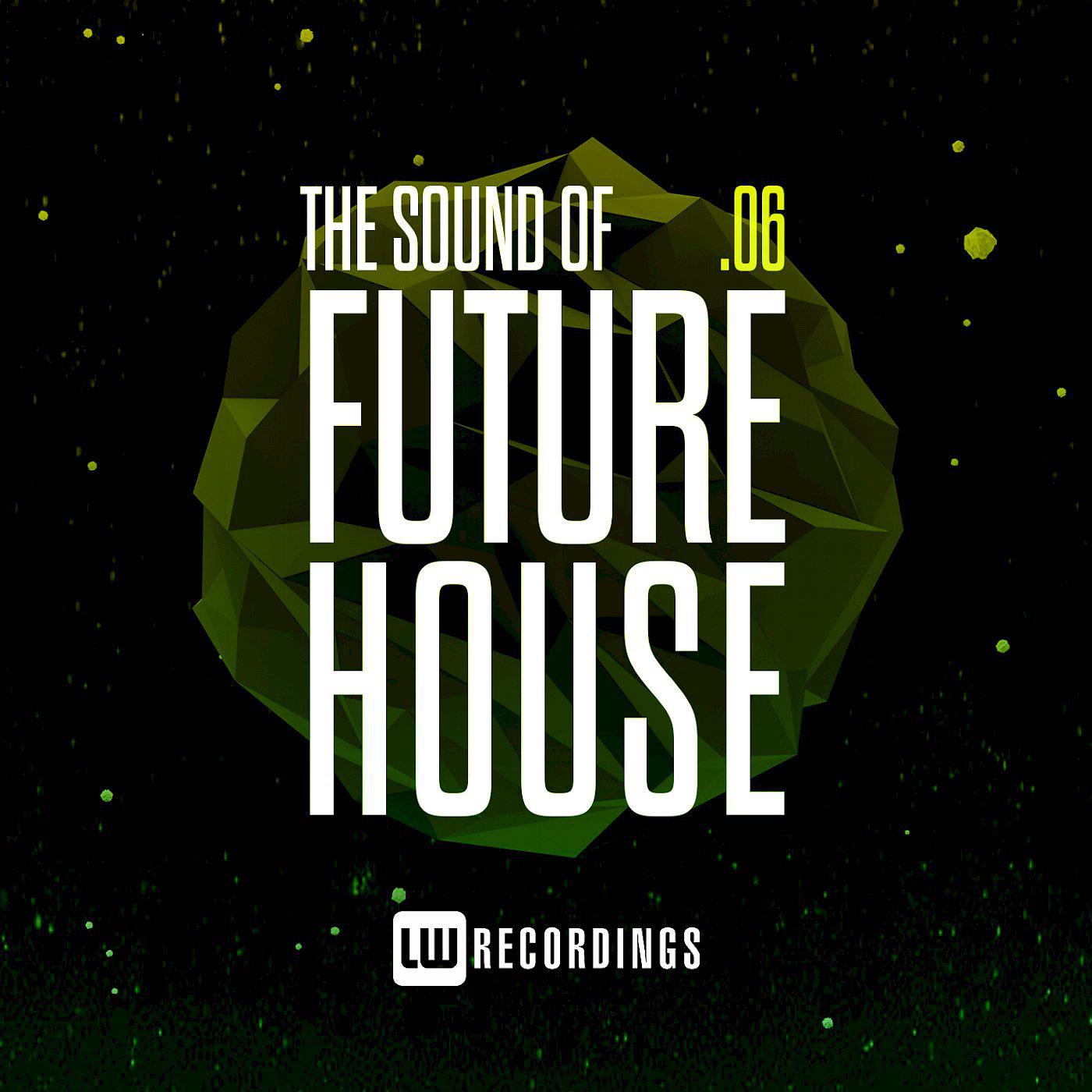 Постер альбома The Sound Of Future House, Vol. 06
