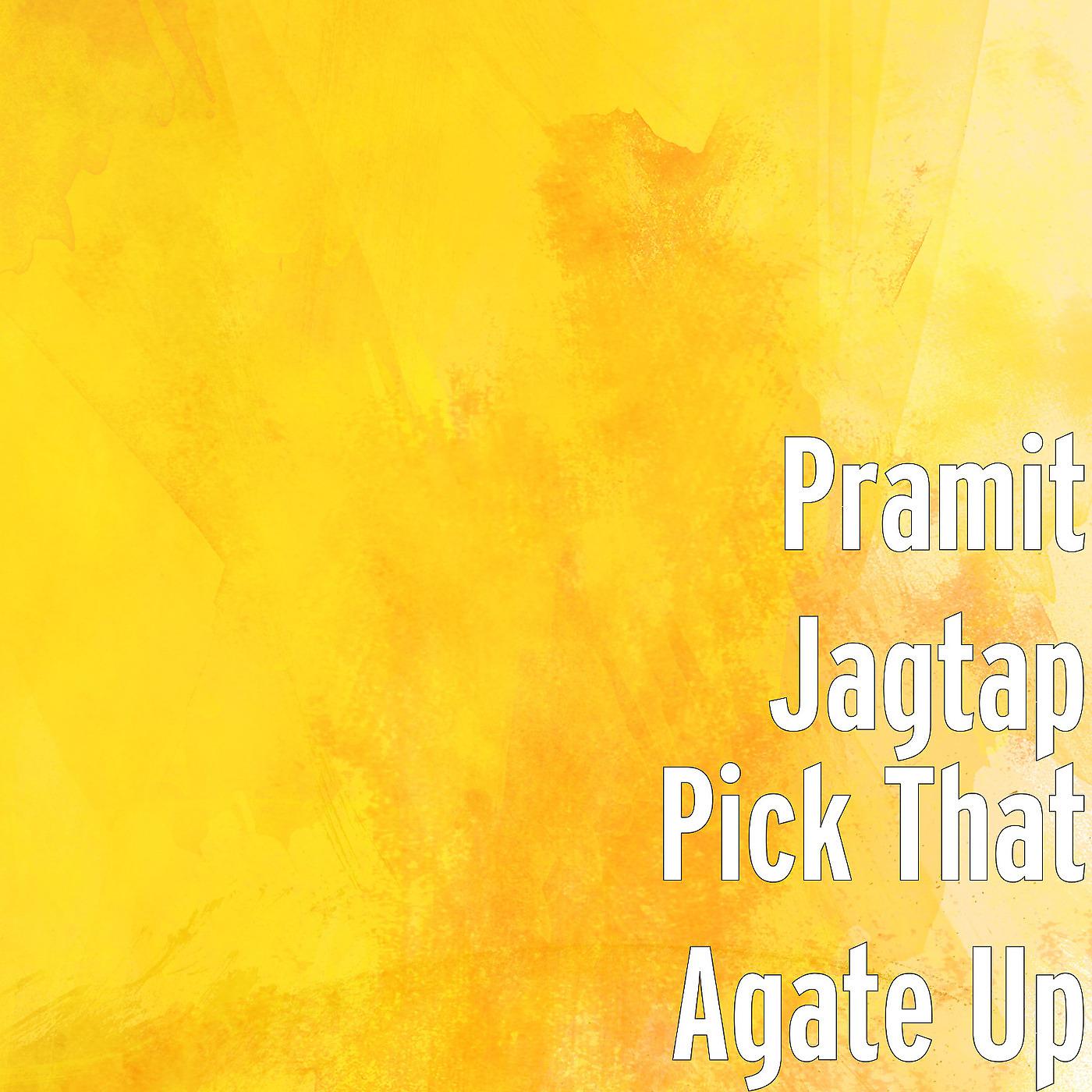 Pramit Jagtap - Pick That Agate Up