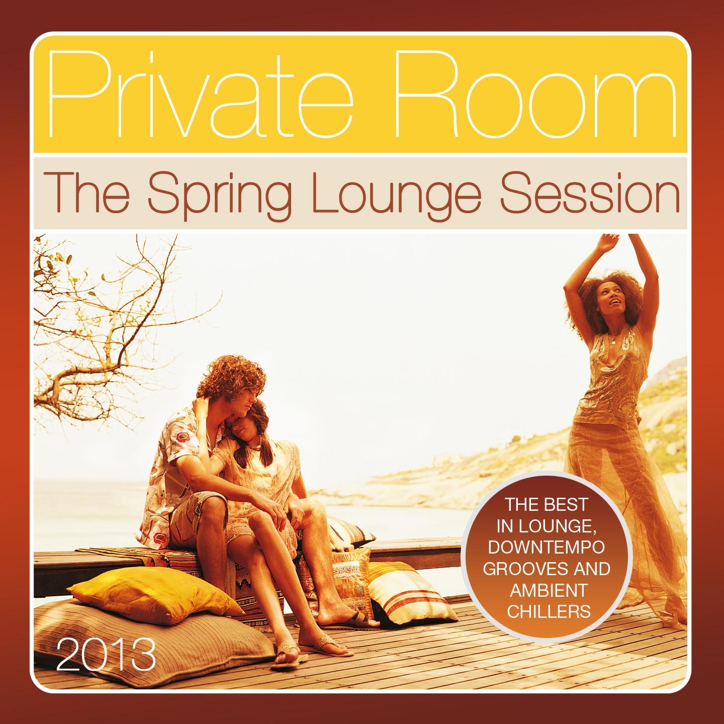 Постер альбома Private Room, the Spring Lounge Session 2013