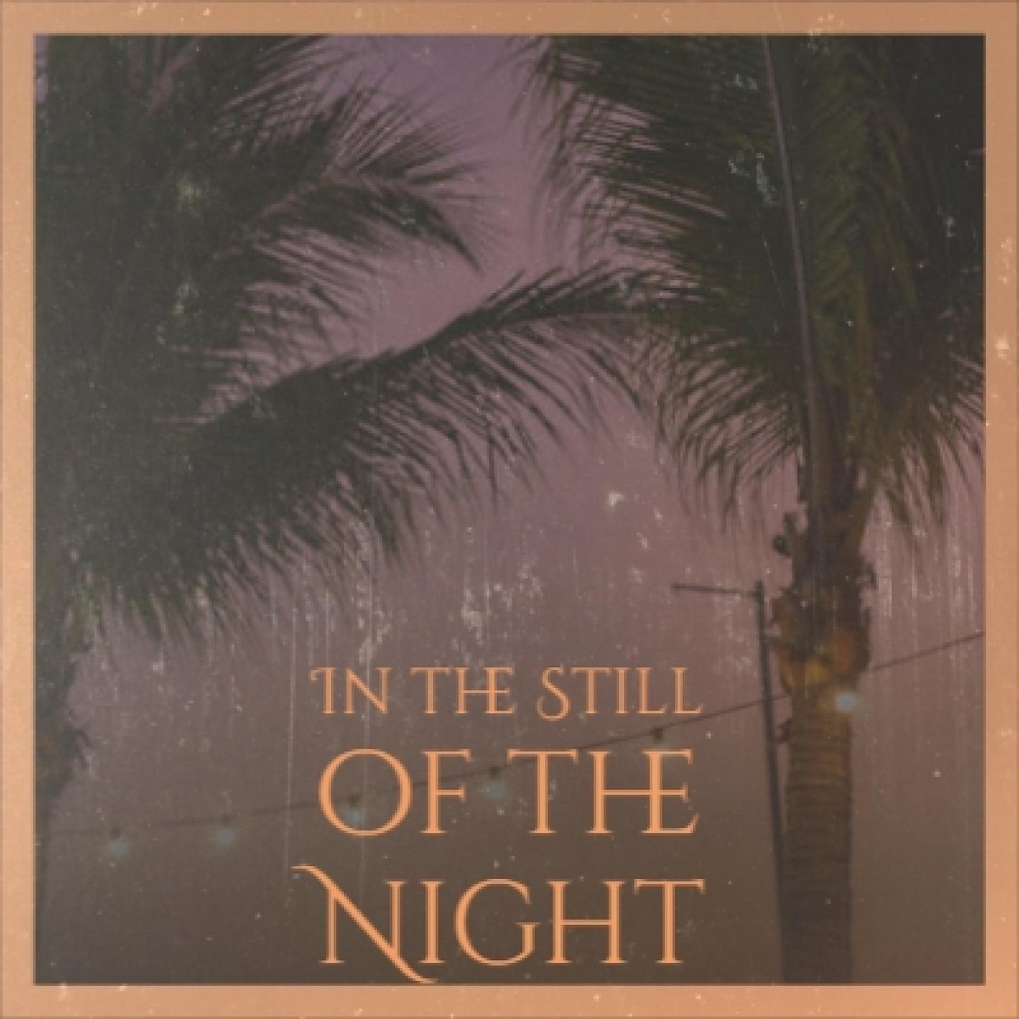 Постер альбома In the Still of the Night