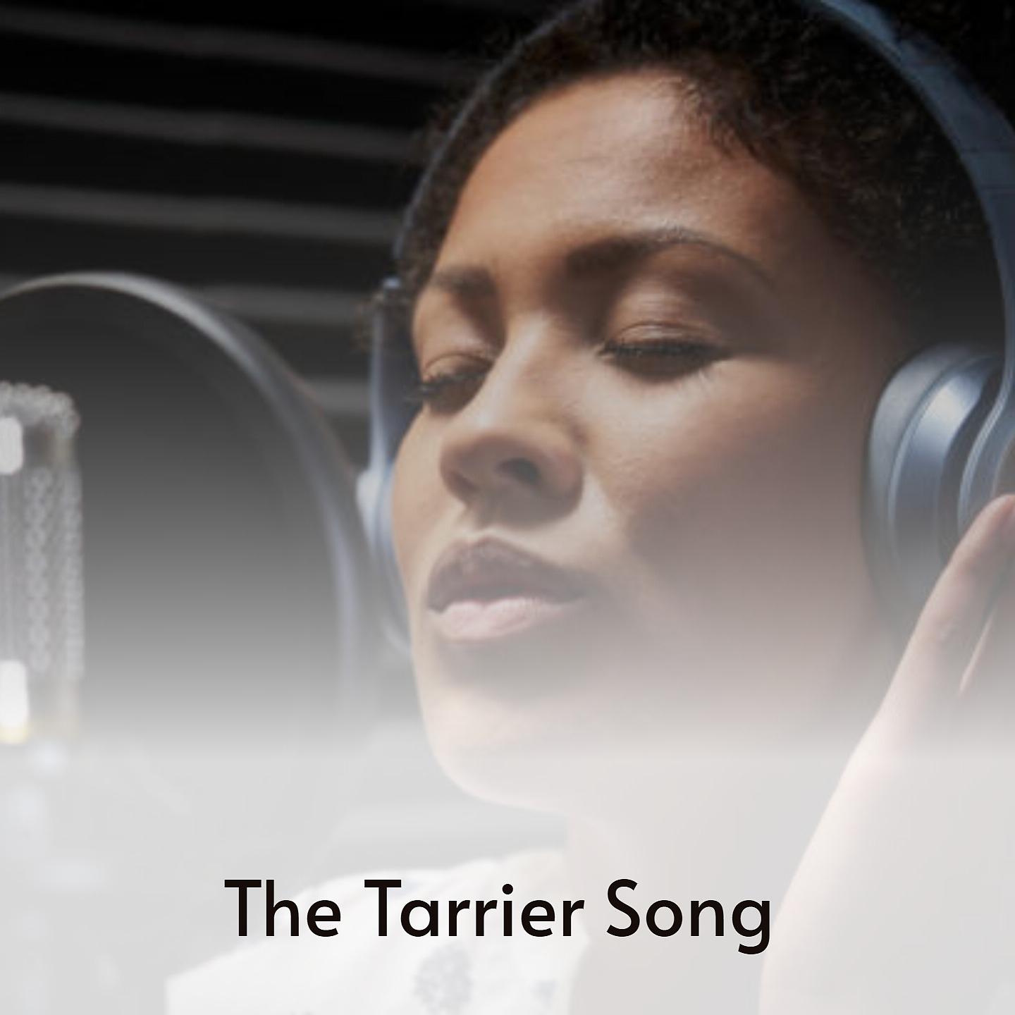 Постер альбома The Tarrier Song