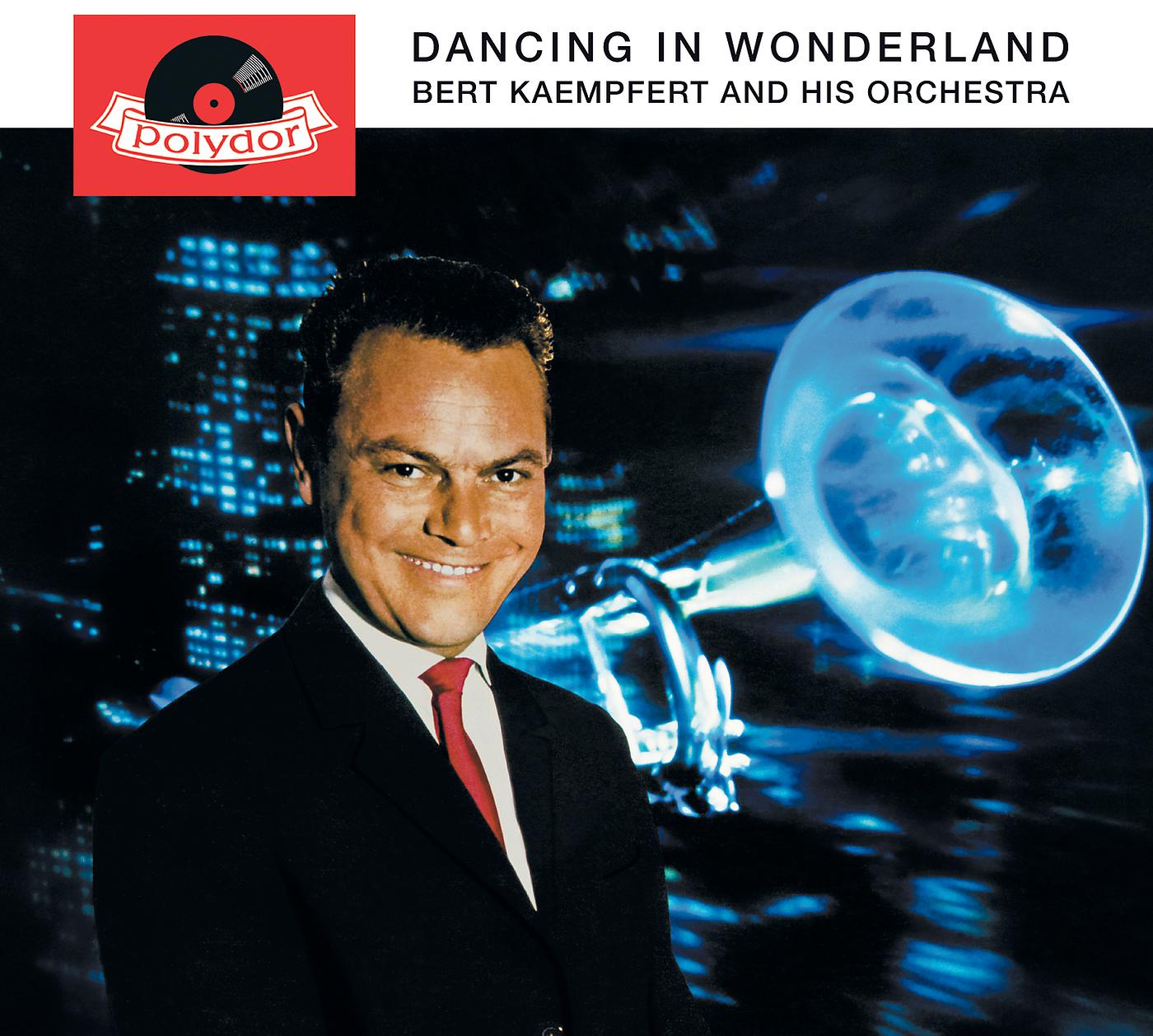 Постер альбома Dancing In Wonderland