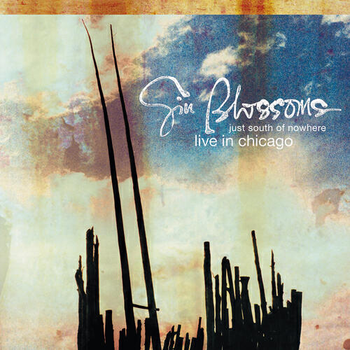 Gin Blossoms - Mrs. Rita (Live at the Metro)