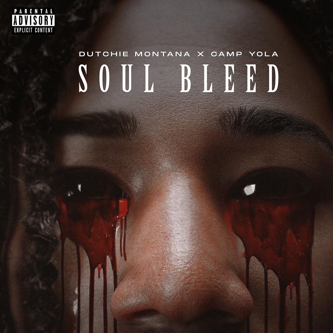 Постер альбома Soul Bleed