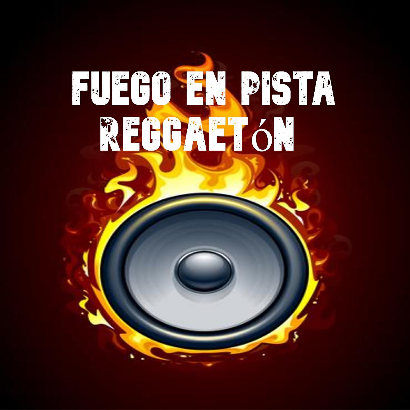 Dj Dembow - Usted Esta Ratata