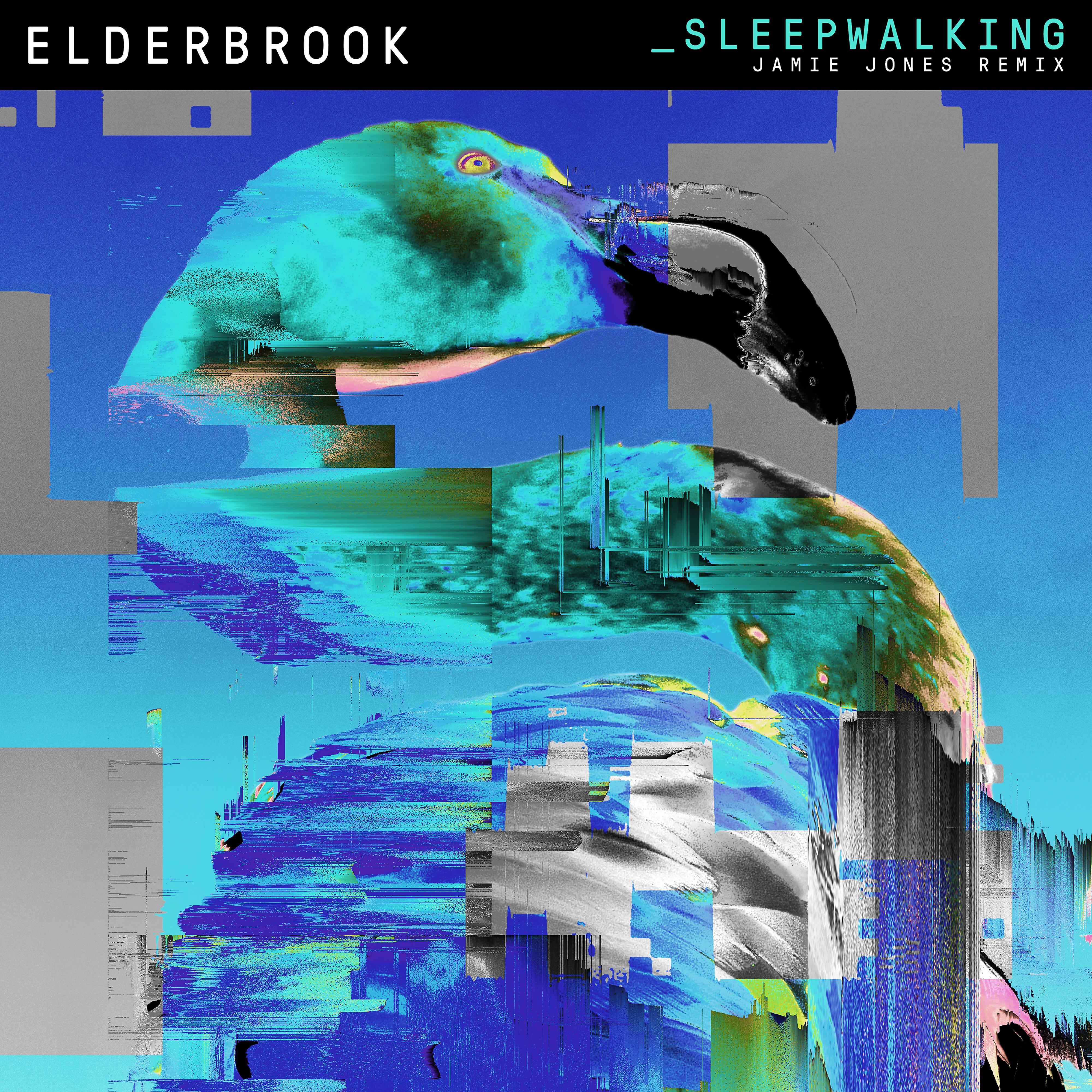 Постер альбома Sleepwalking (Jamie Jones Remixes)